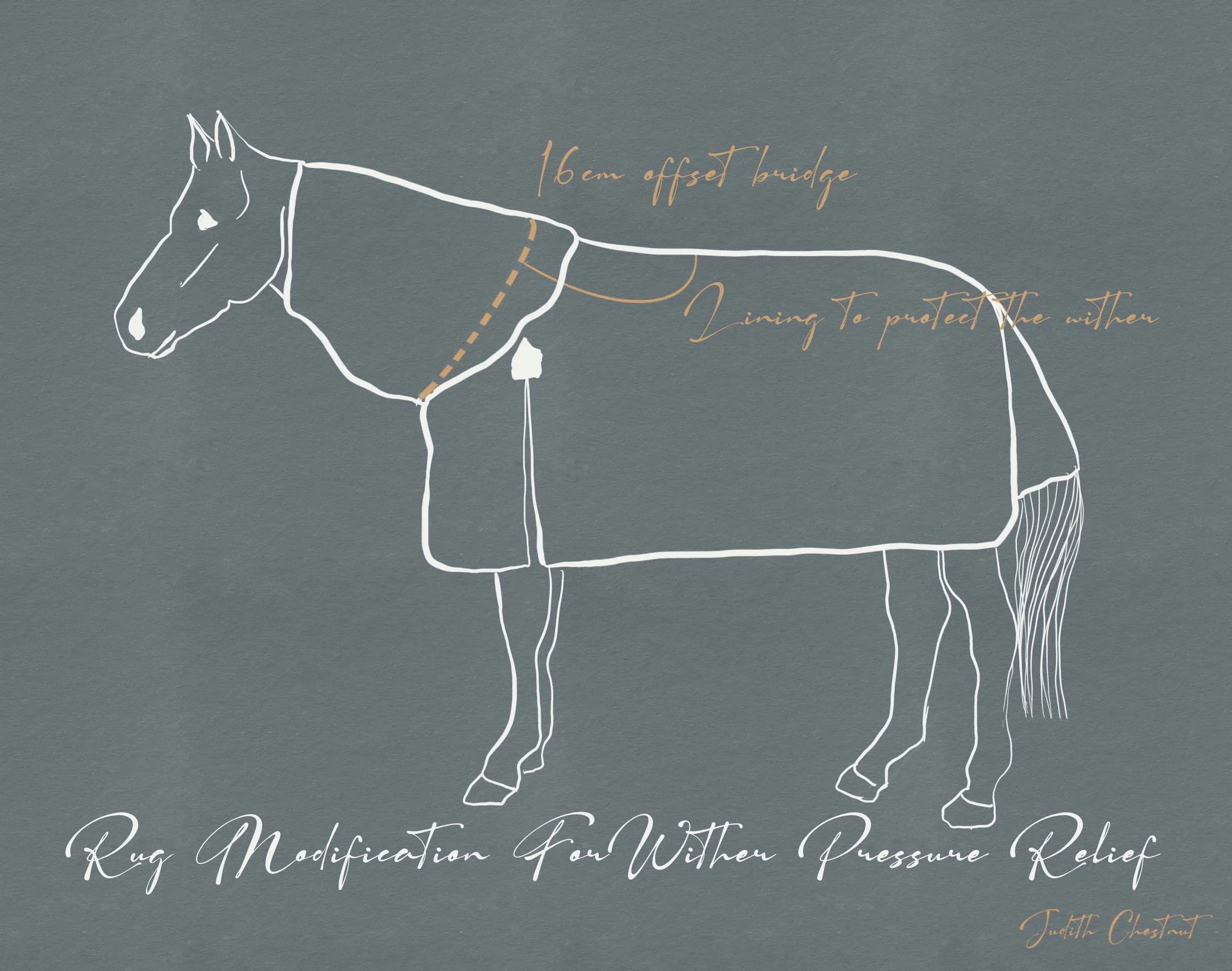 A conceptual drawing illustrating the 16cm setback intended to create a relief bridge, moving the seam away from sensitive structures.