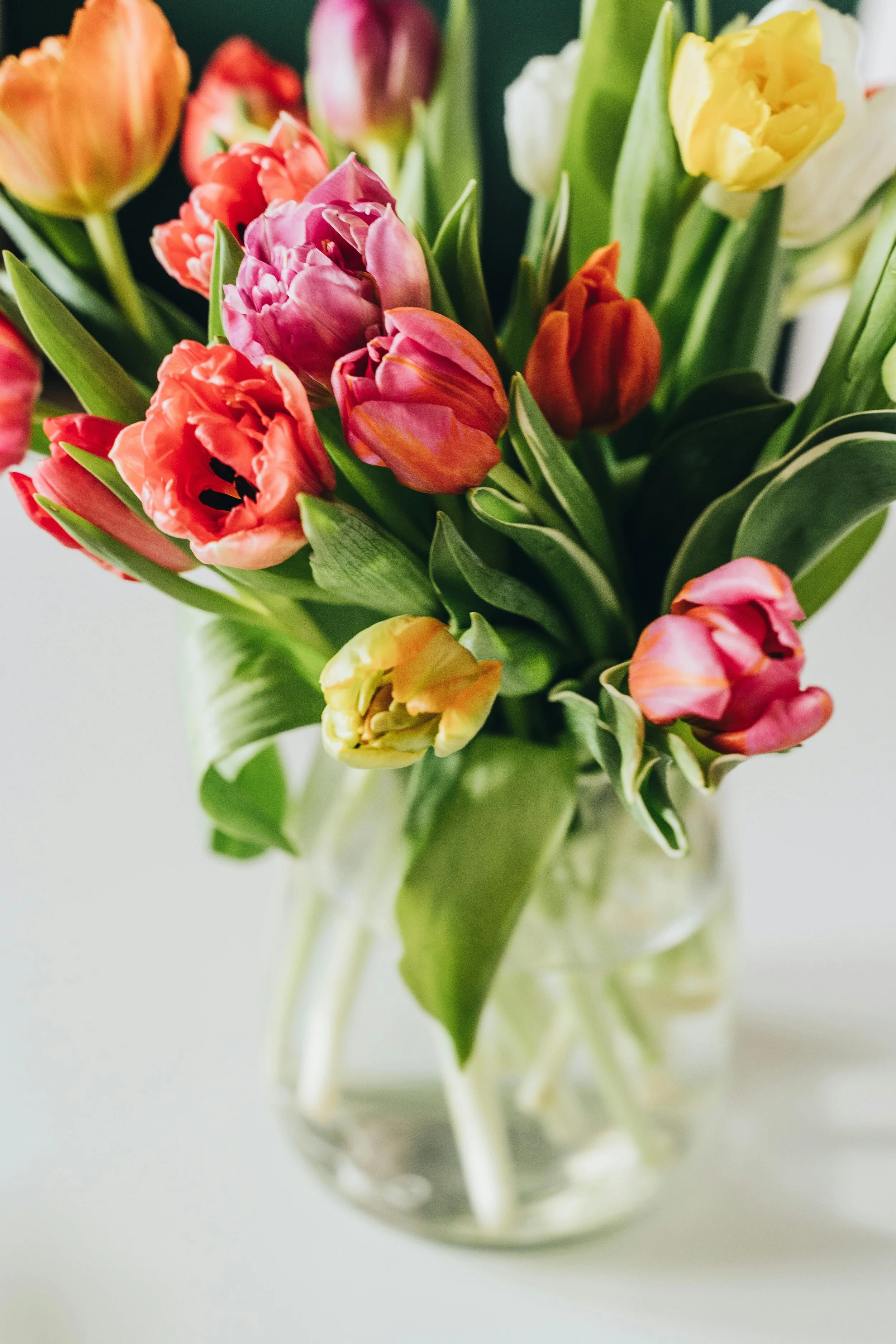 Vibrant Spring Tulip Bouquet