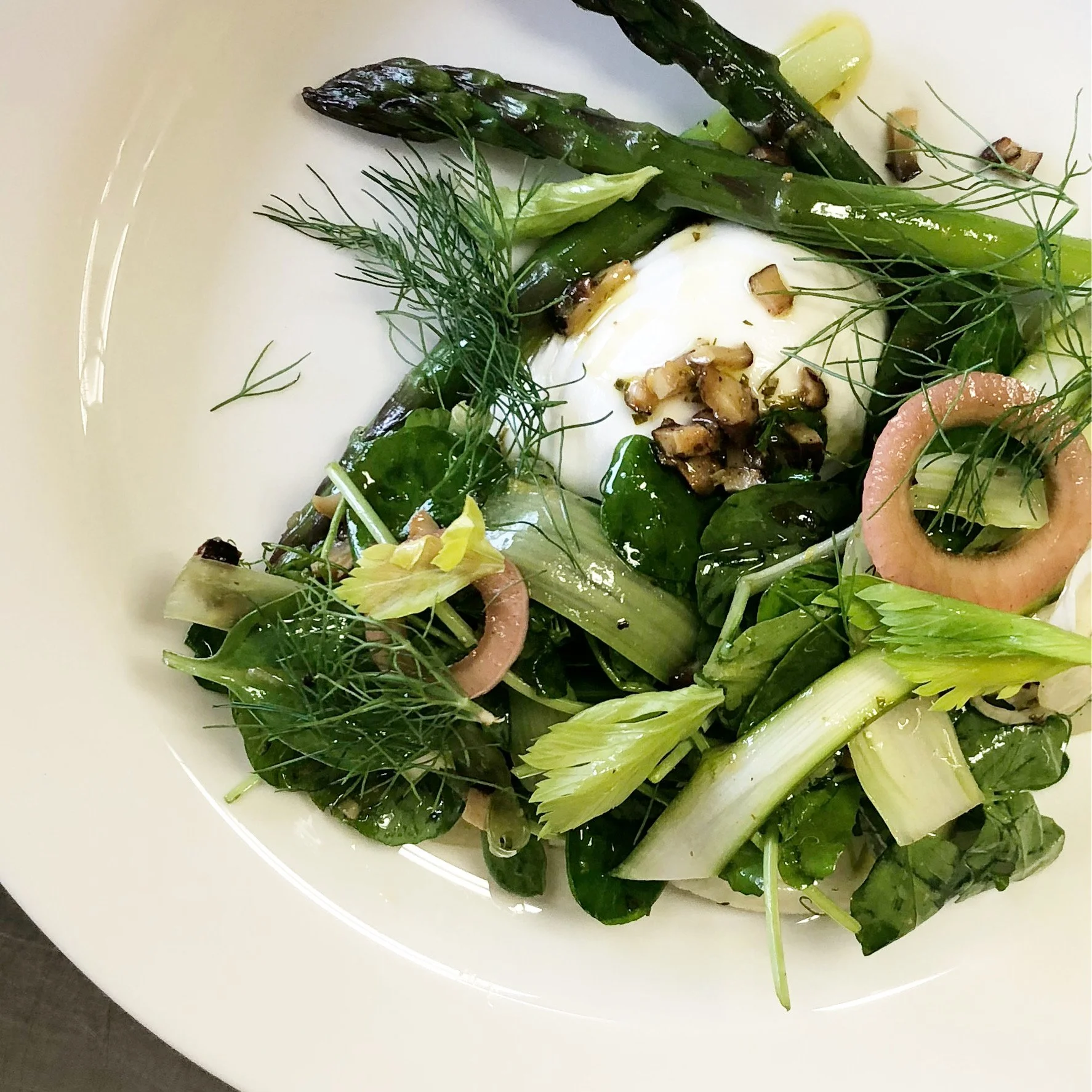 B13C3236-8B58-4F4F-9482-A94F103E5C1C 2.JPG