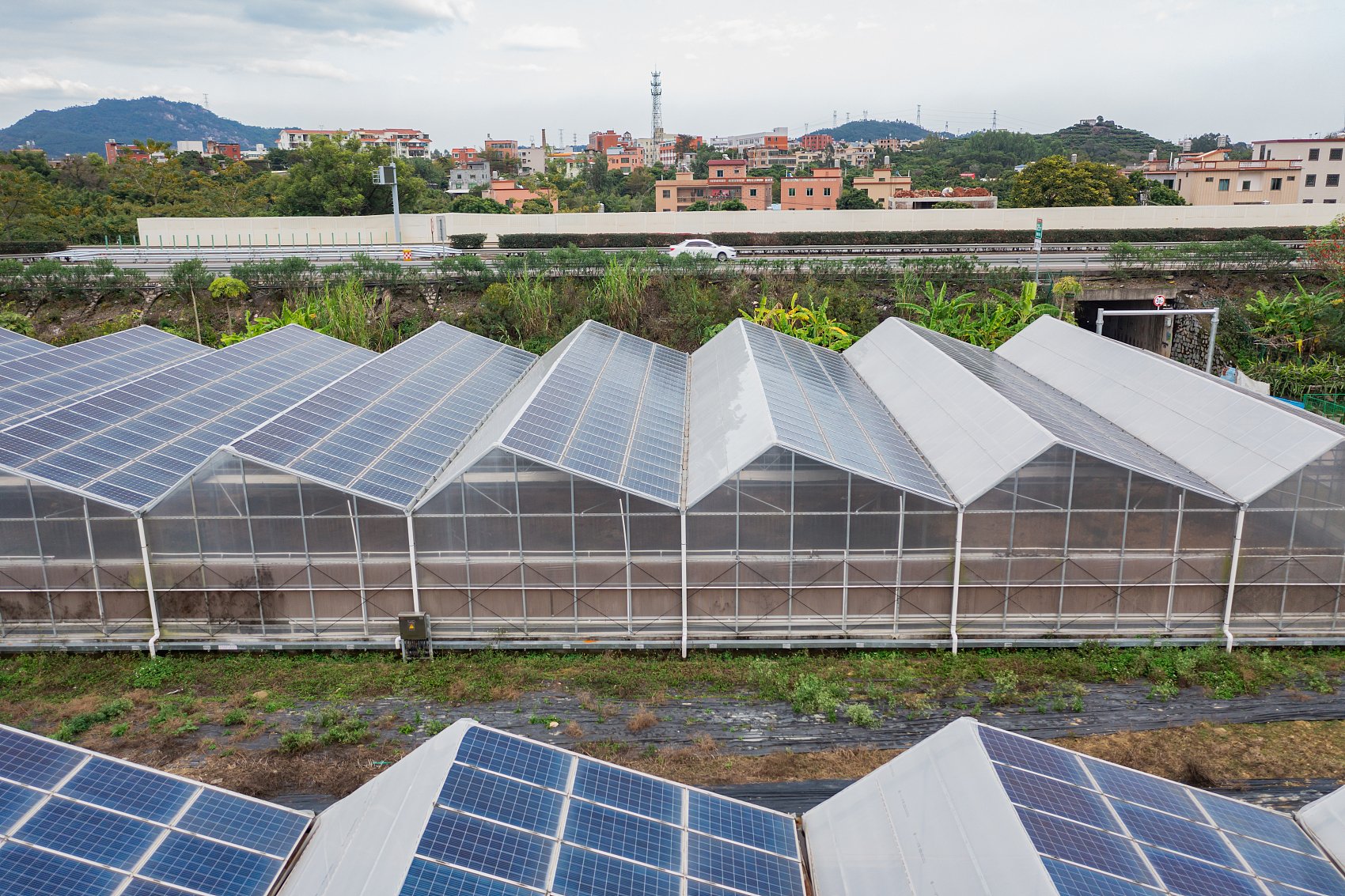 Ejemplos de aplicación