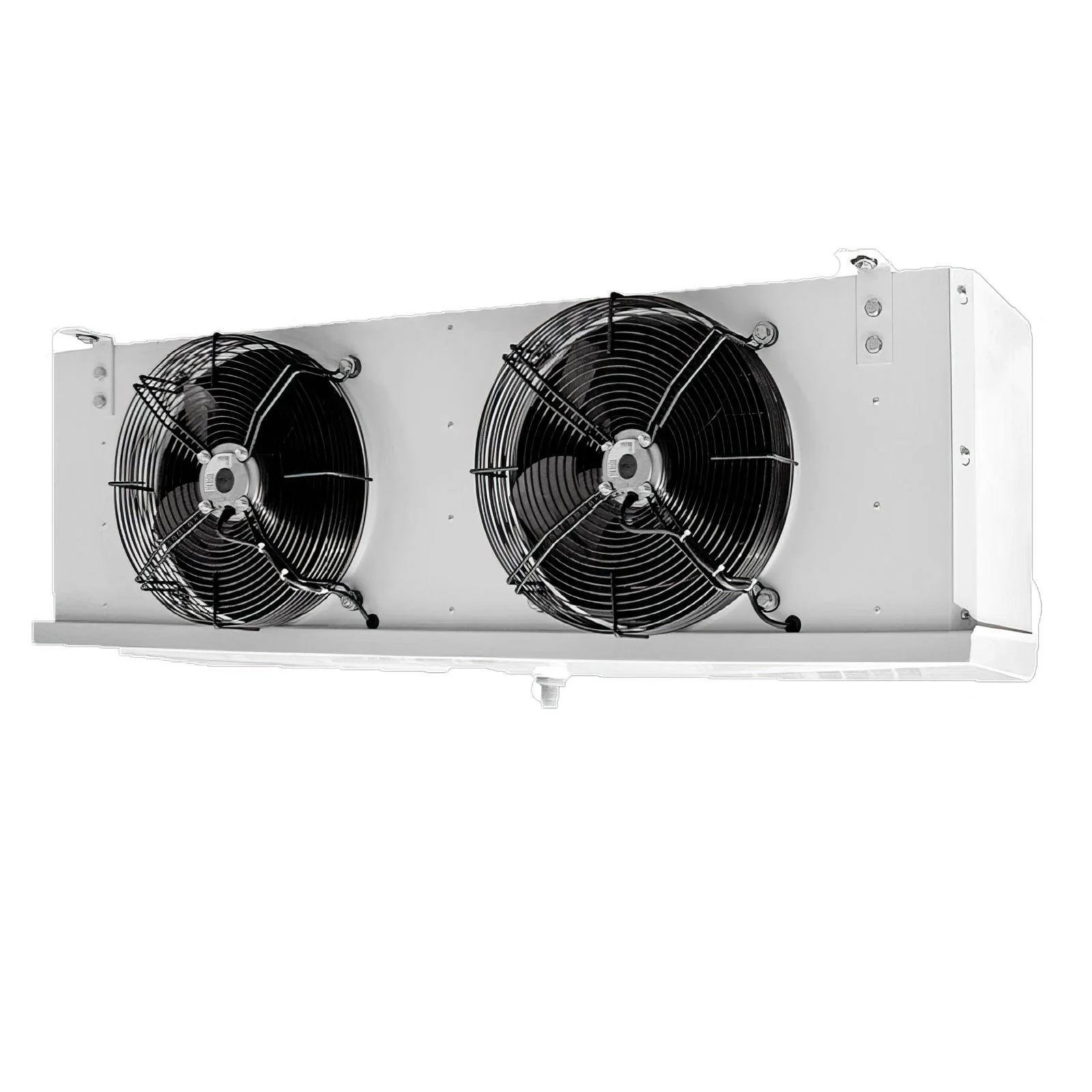 WhatsApp Image 2026-02-15 at 22.42.47 (1).jpeg