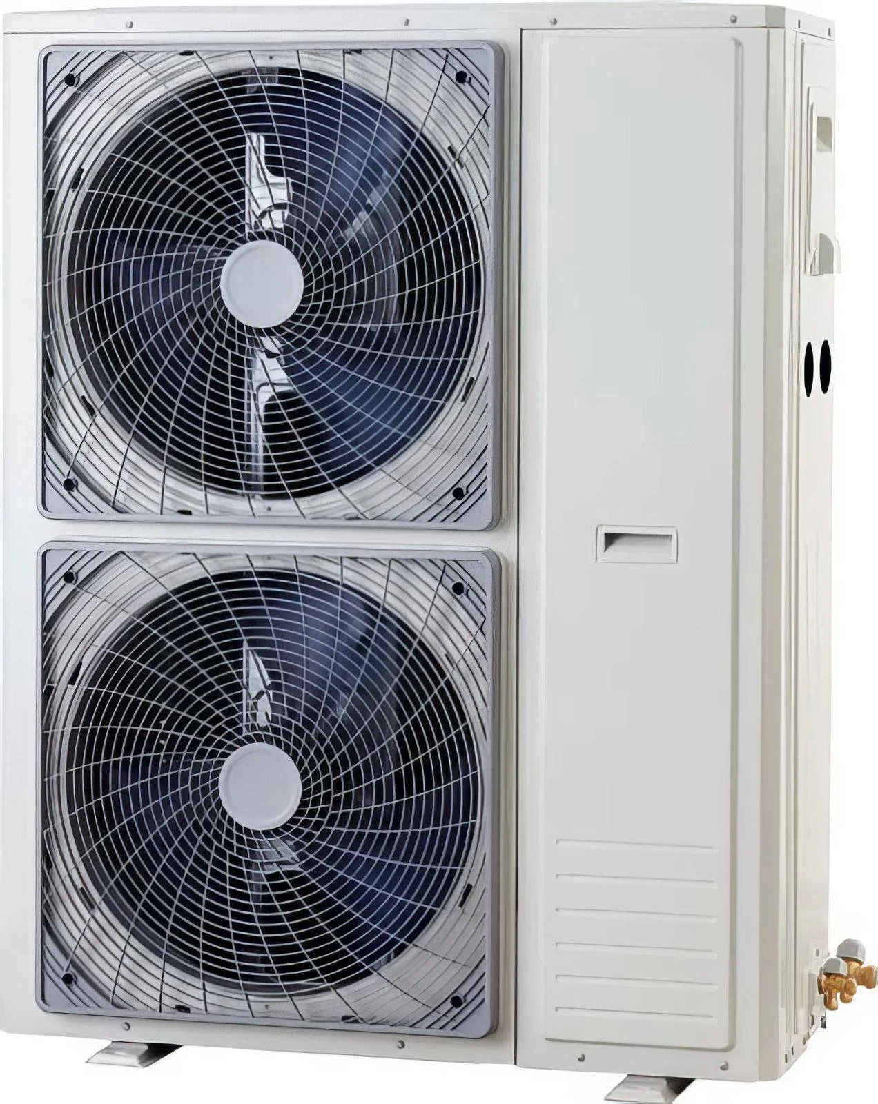 WhatsApp Image 2026-02-15 at 22.42.45 (1).jpeg