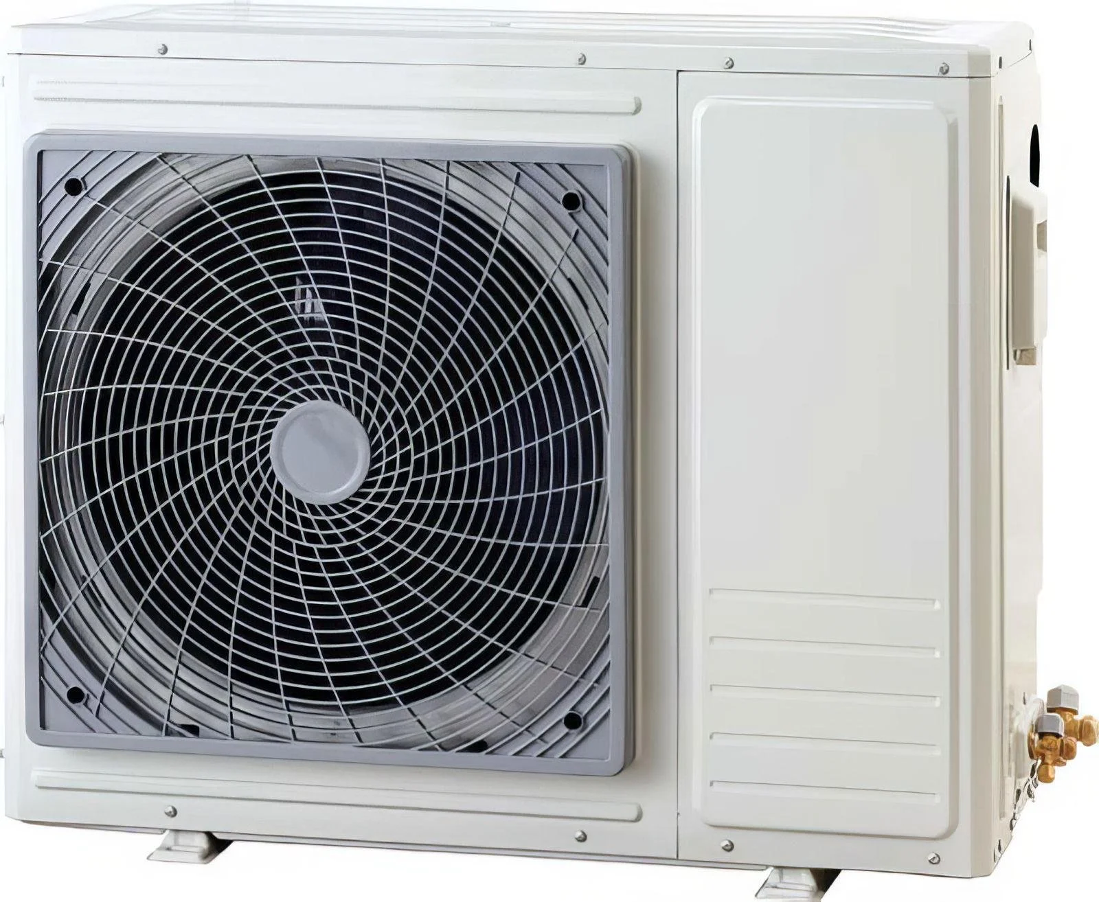 WhatsApp Image 2026-02-15 at 22.42.45 (2).jpeg