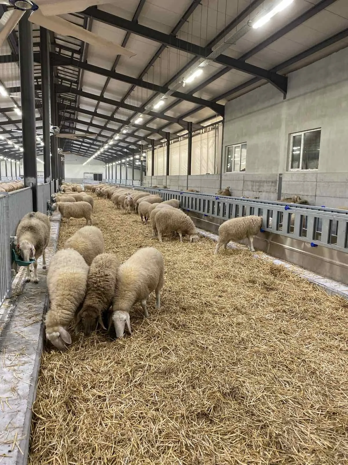 Vibrant kitchen interior with marble island and teal cabinetry.