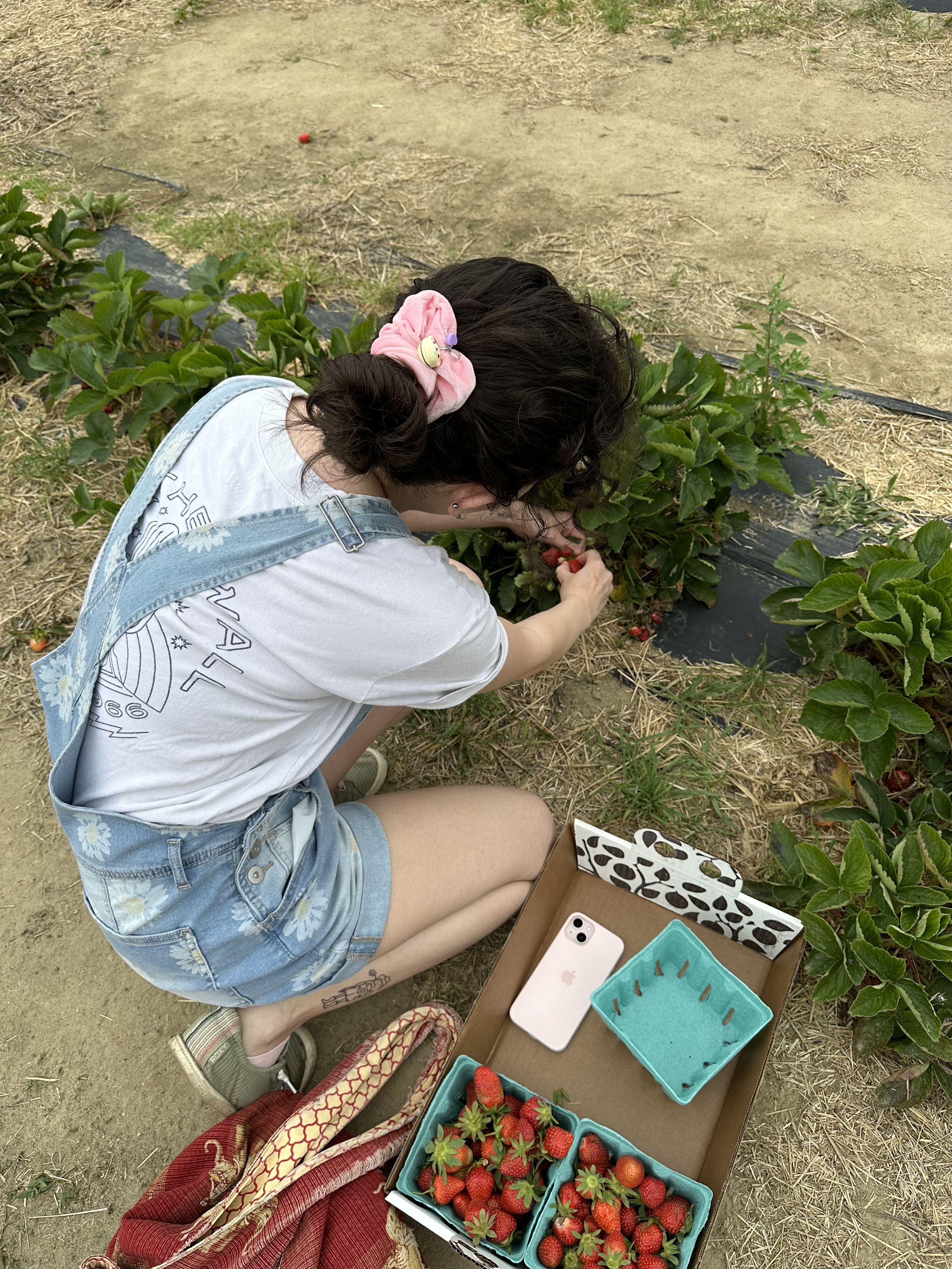IMG_5845.png