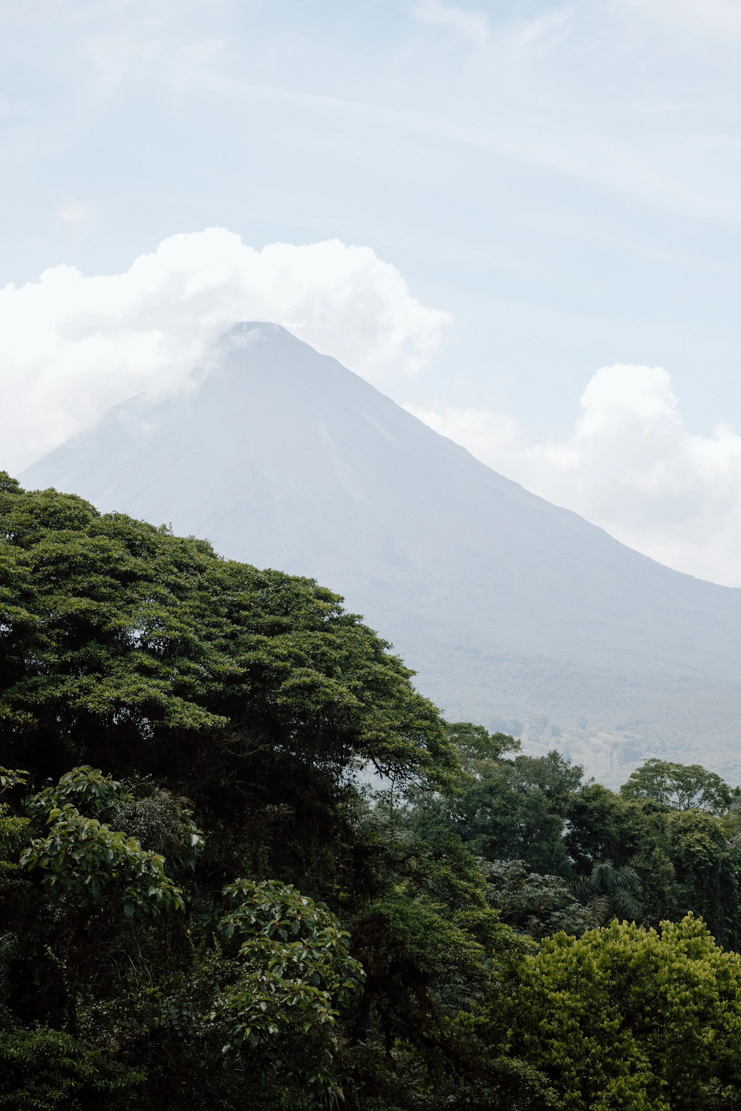 Volcano in a cloudy sky with lush green forest in the foreground