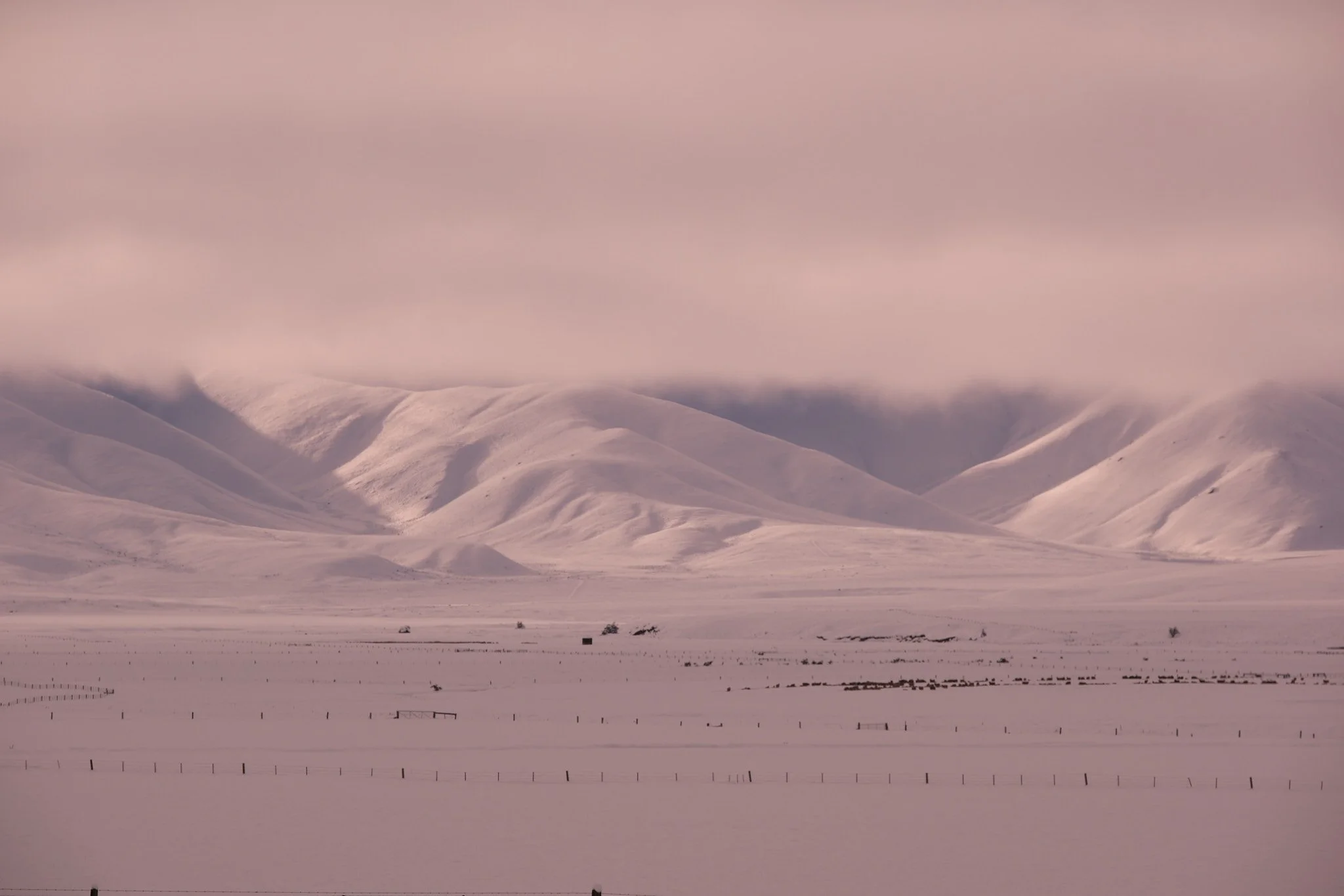 DSCF3893.jpg