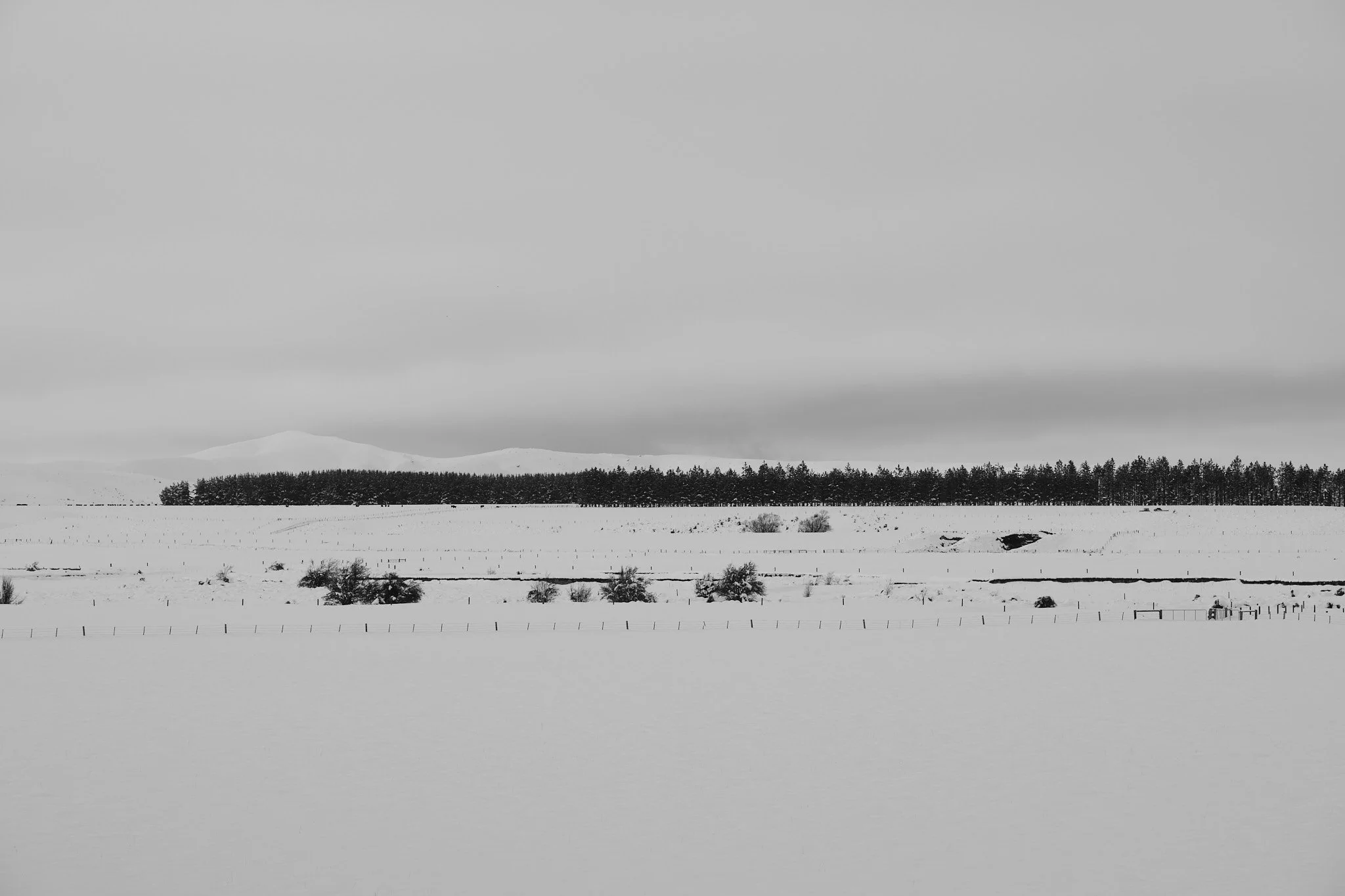 DSCF3896.jpg