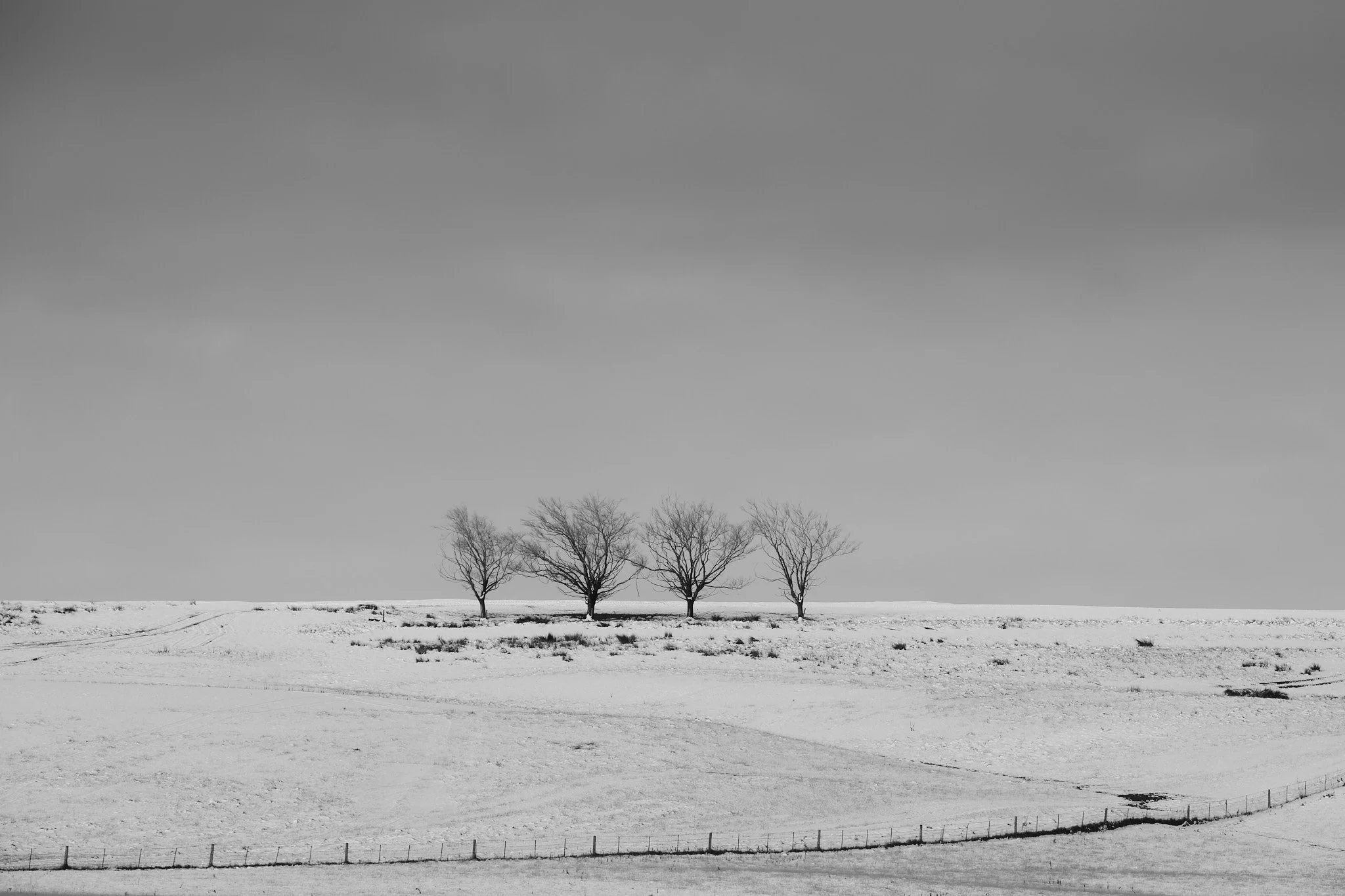 DSCF3899.jpg