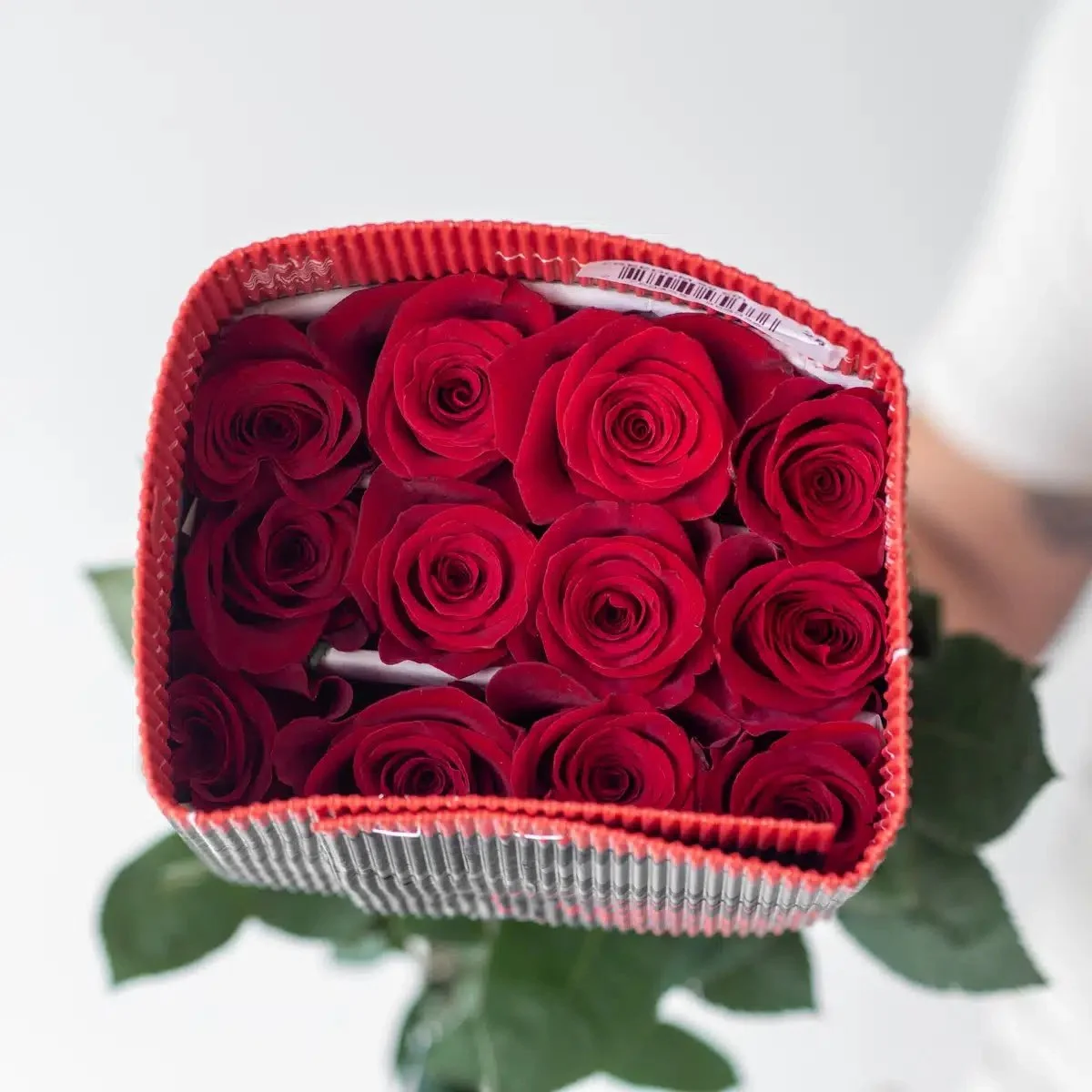Bulk Freedom Red Roses – 50cm
