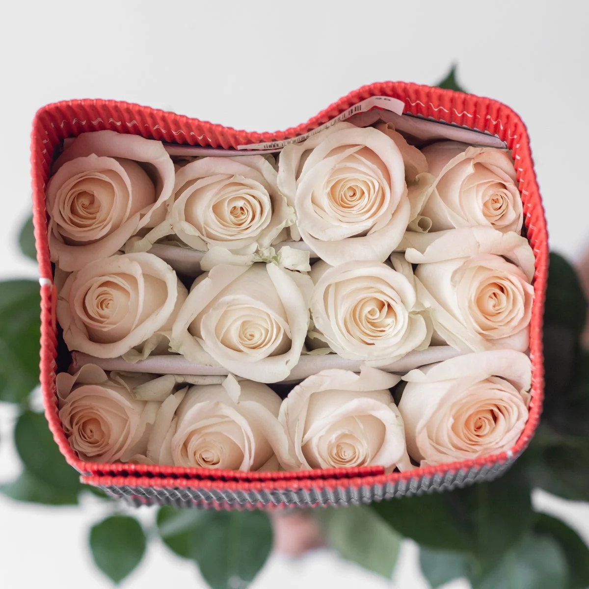 Bulk Vendela White Roses – 50cm