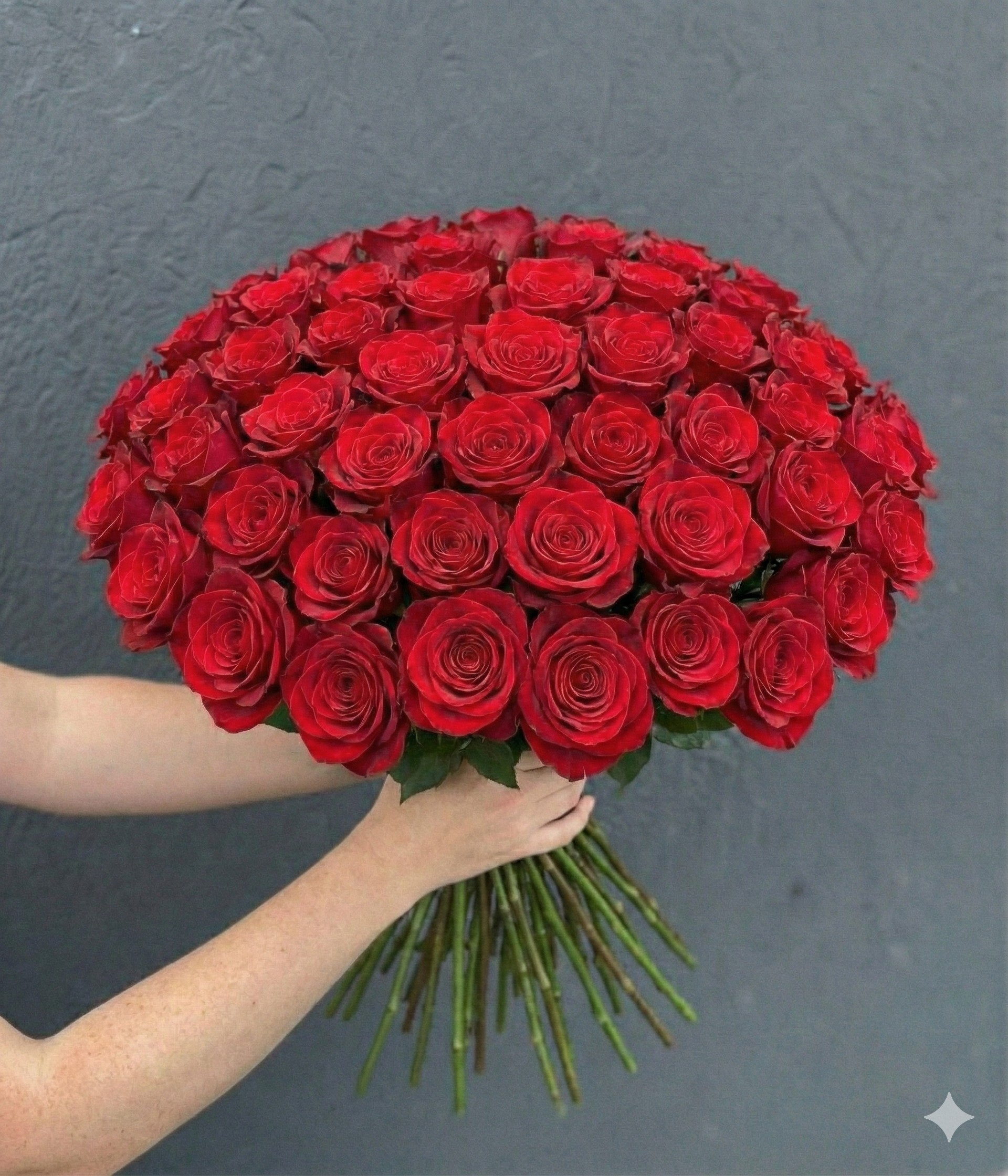 48 Stem Premium Long Stem Rose Bunch