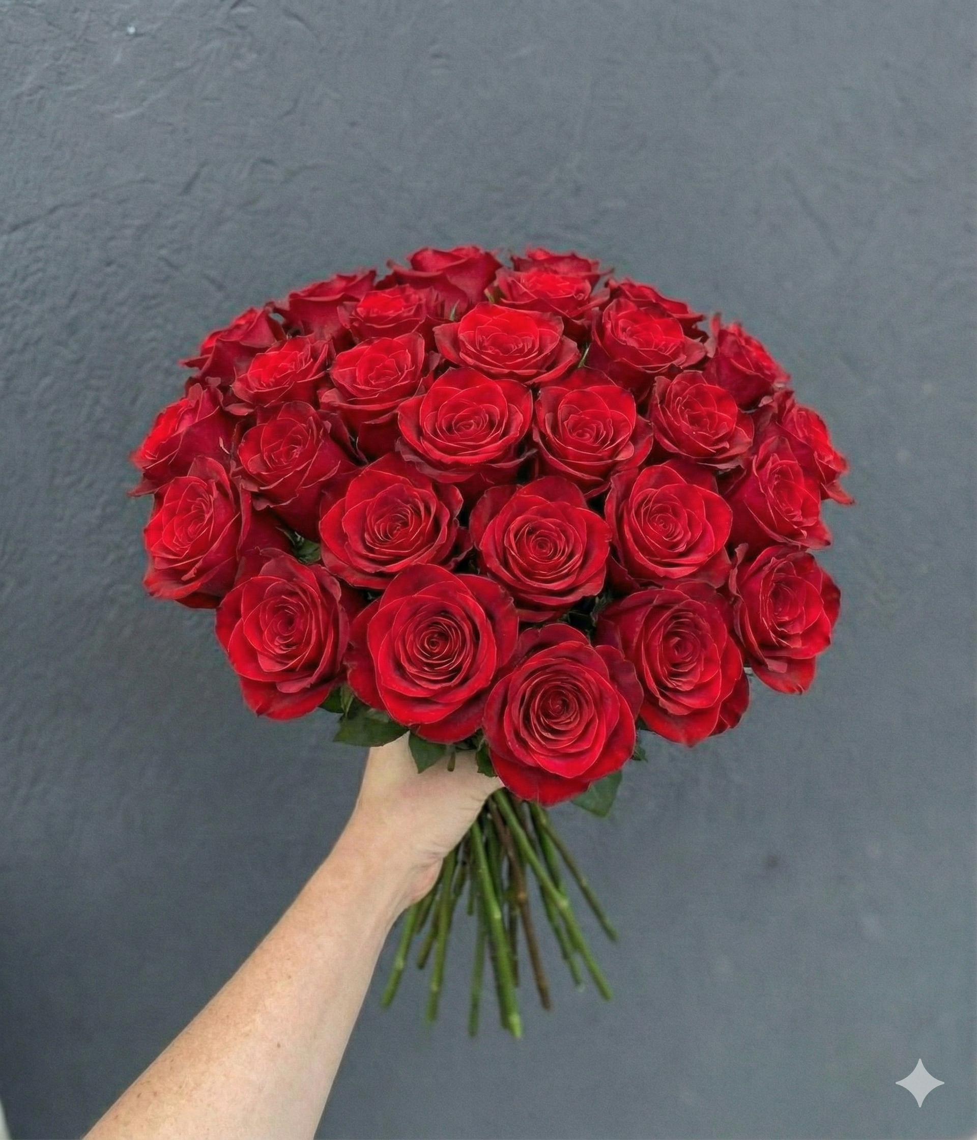 24 Stem Premium Long Stem Rose Bunch