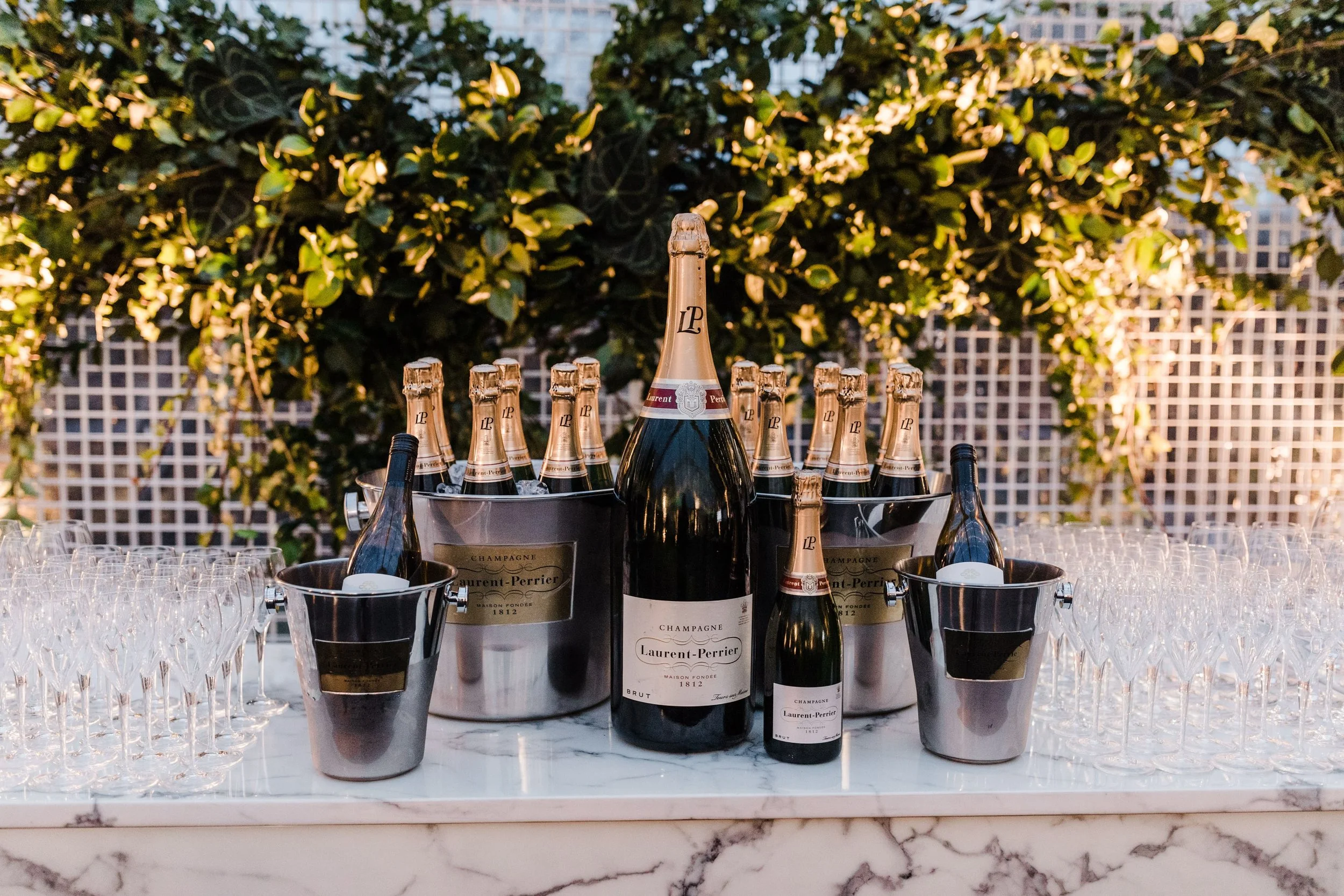 Fawkner House Launch-28 copy-min.jpg
