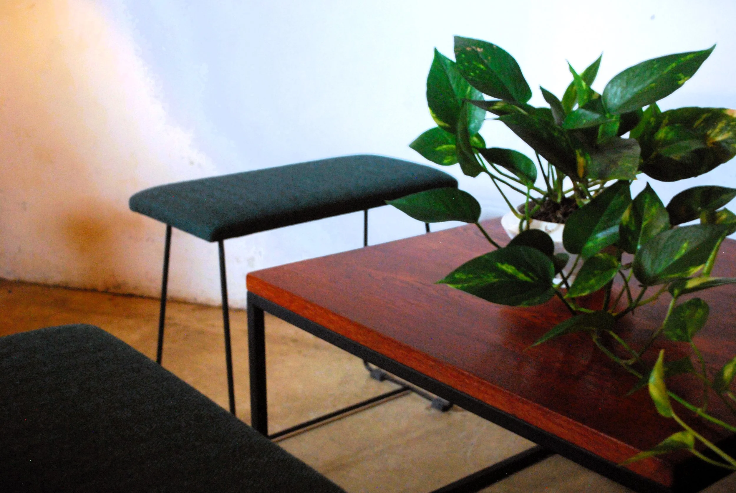 DSC_0259 - コピー (2).JPG