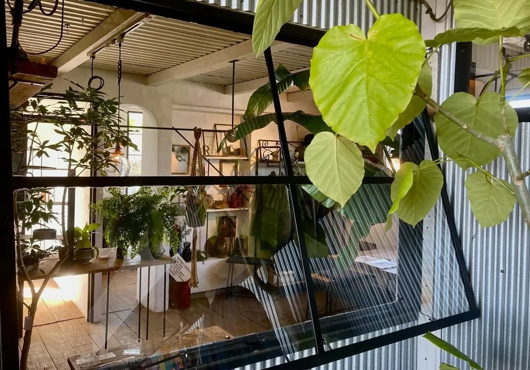 室内の観葉植物と家具、ガラス窓のあるstudio caravanの工房内
