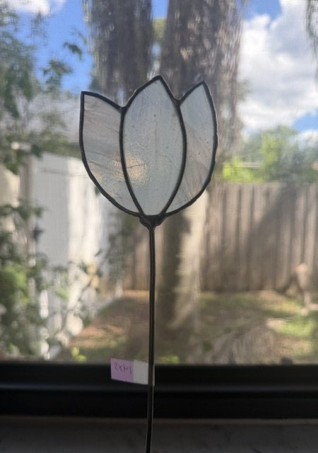 Ghost Tulip
