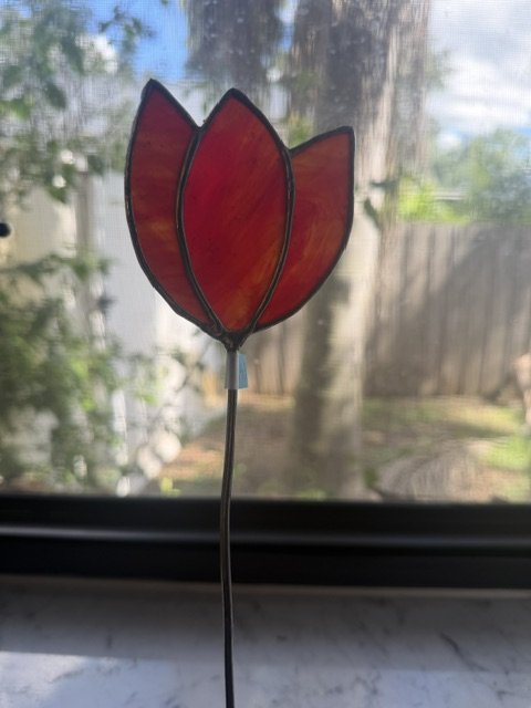 Spiced Tulip