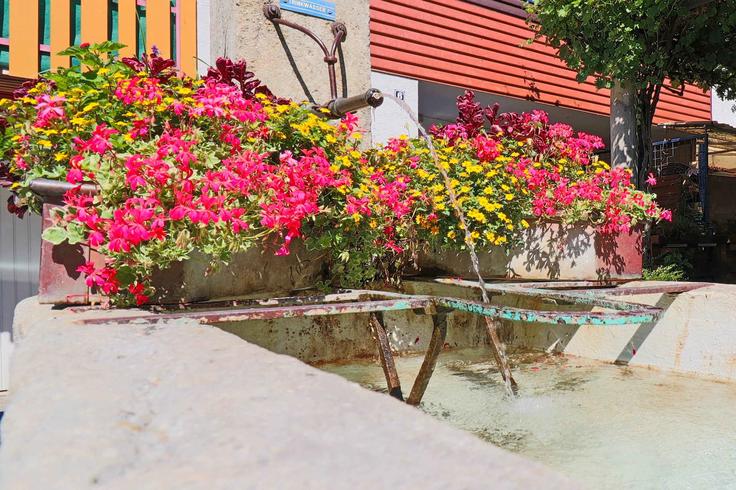 Charmanter Trinkwasserbrunnen in der Altstadt – ideal für eine kurze Erfrischung beim Bummel durch Tiengen.
