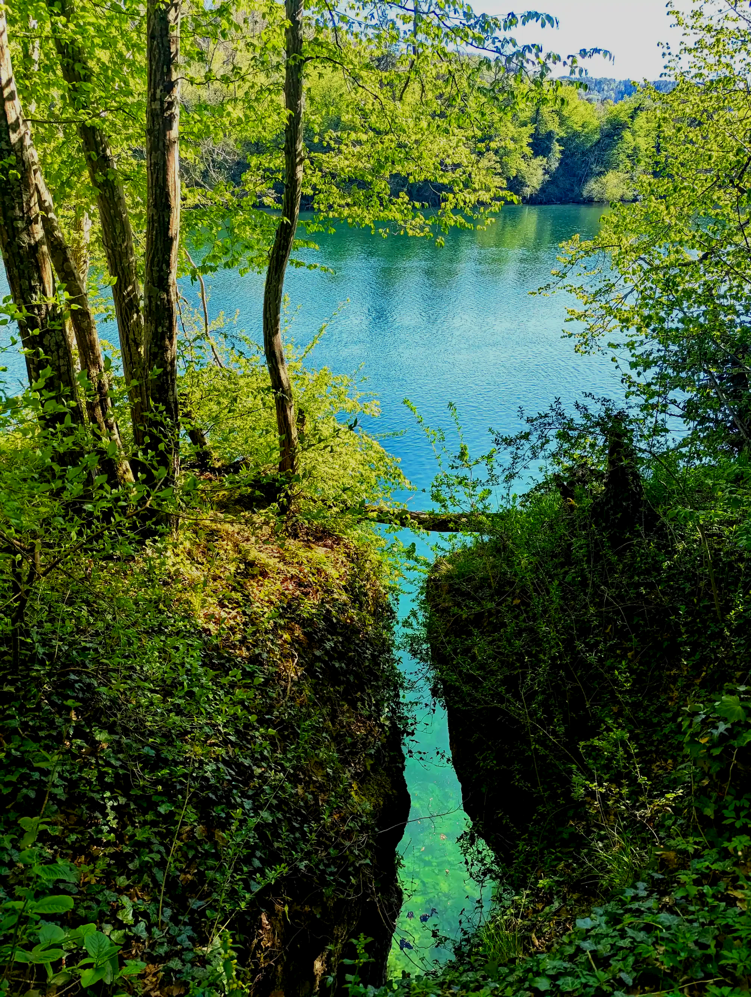 Nature along the Rhine near Waldshut-Tiengen and Küssaberg