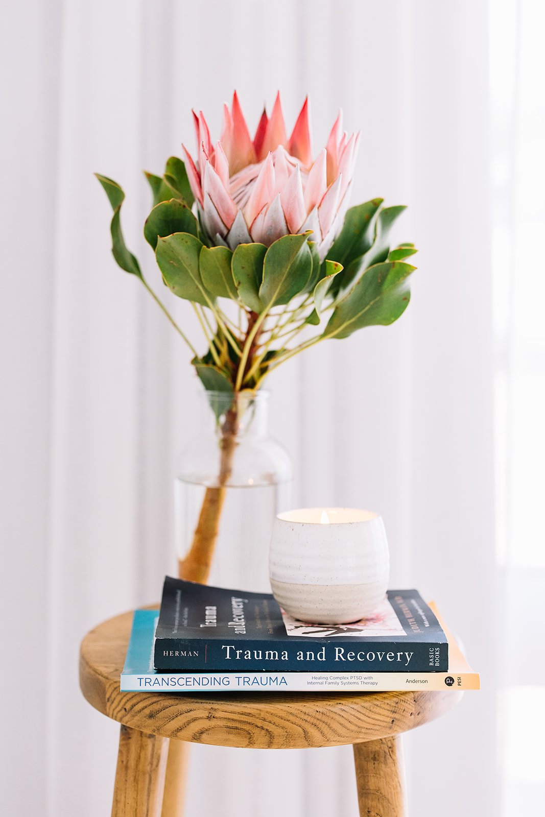 IFS supervision with registered psychologist online in Australia