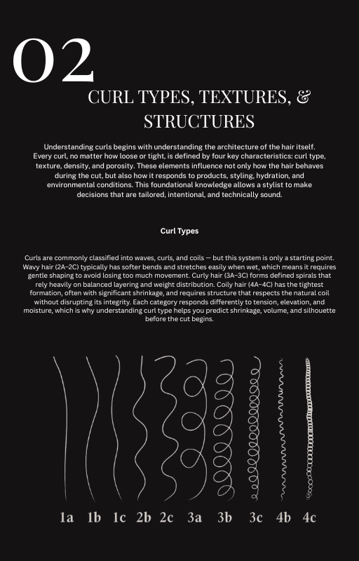 The Curl Code Ebook  copy 2.png