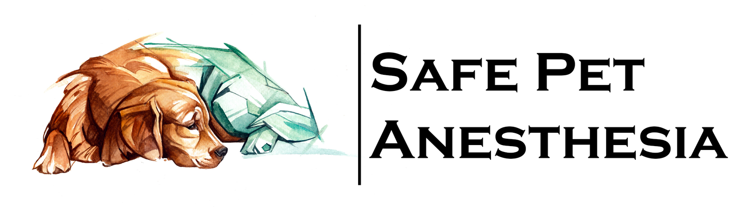 Safe Pet Anesthesia