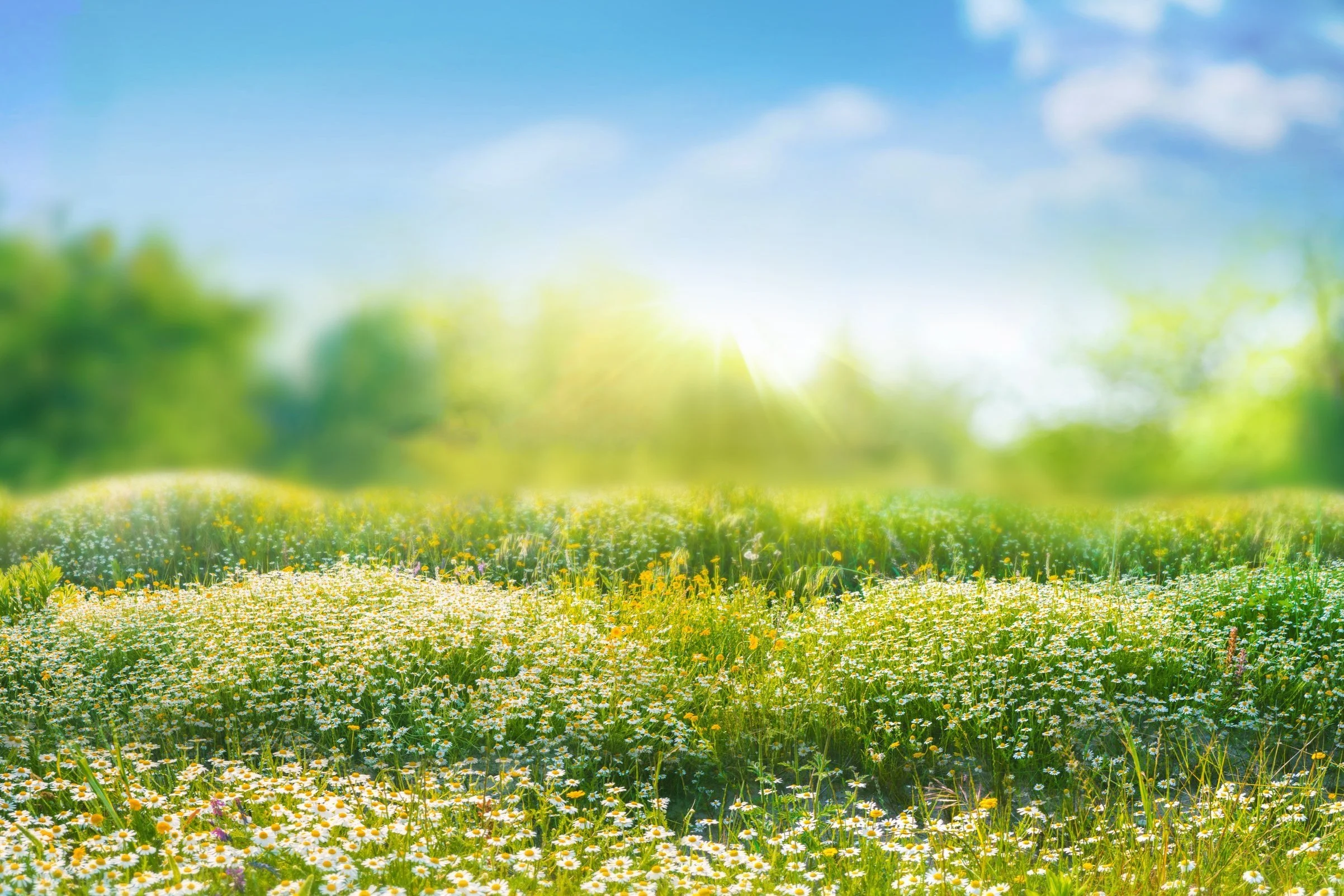 Mindset Shifts for Motivation and Positivity
