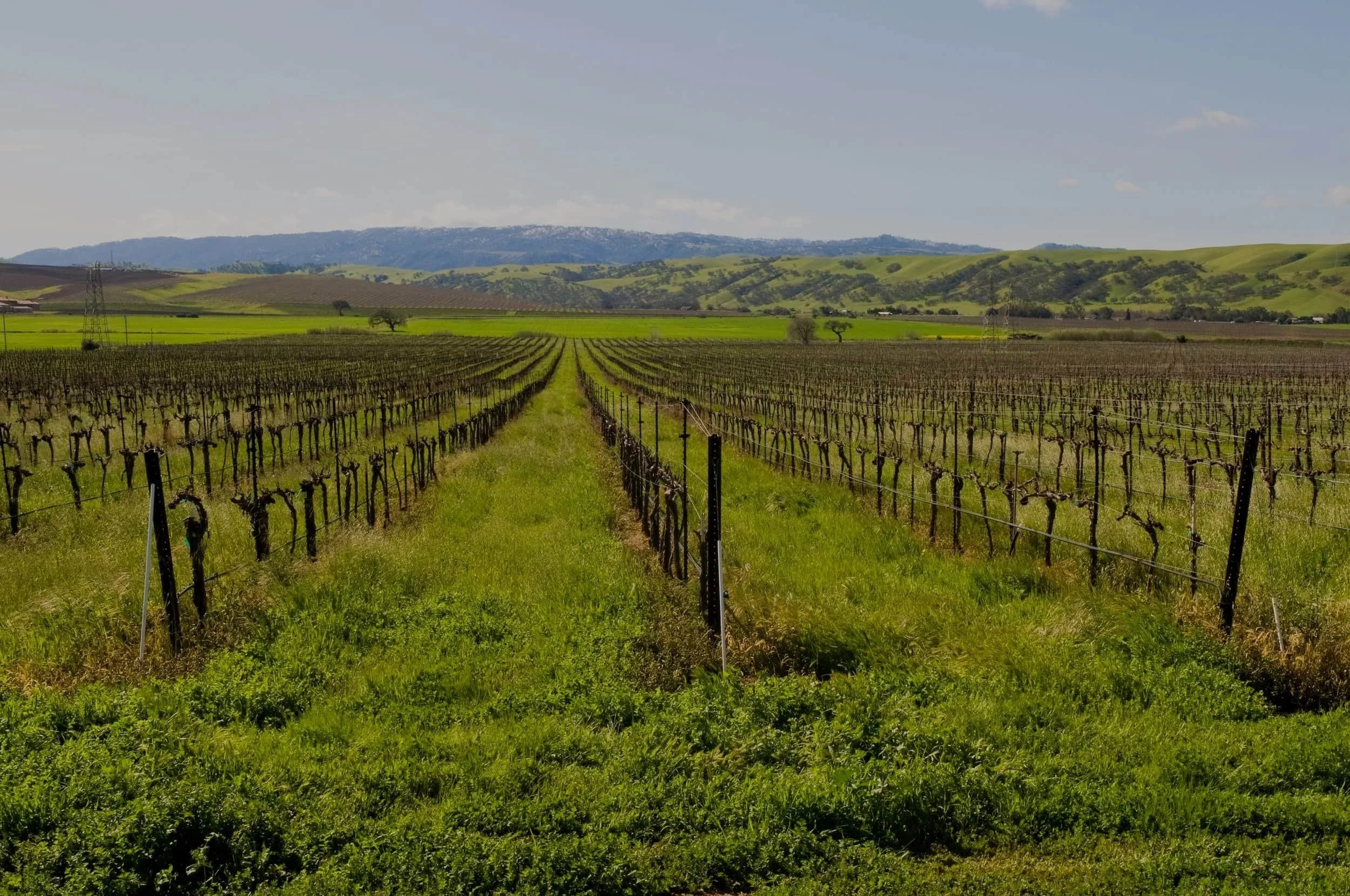 Livermore Wine country events