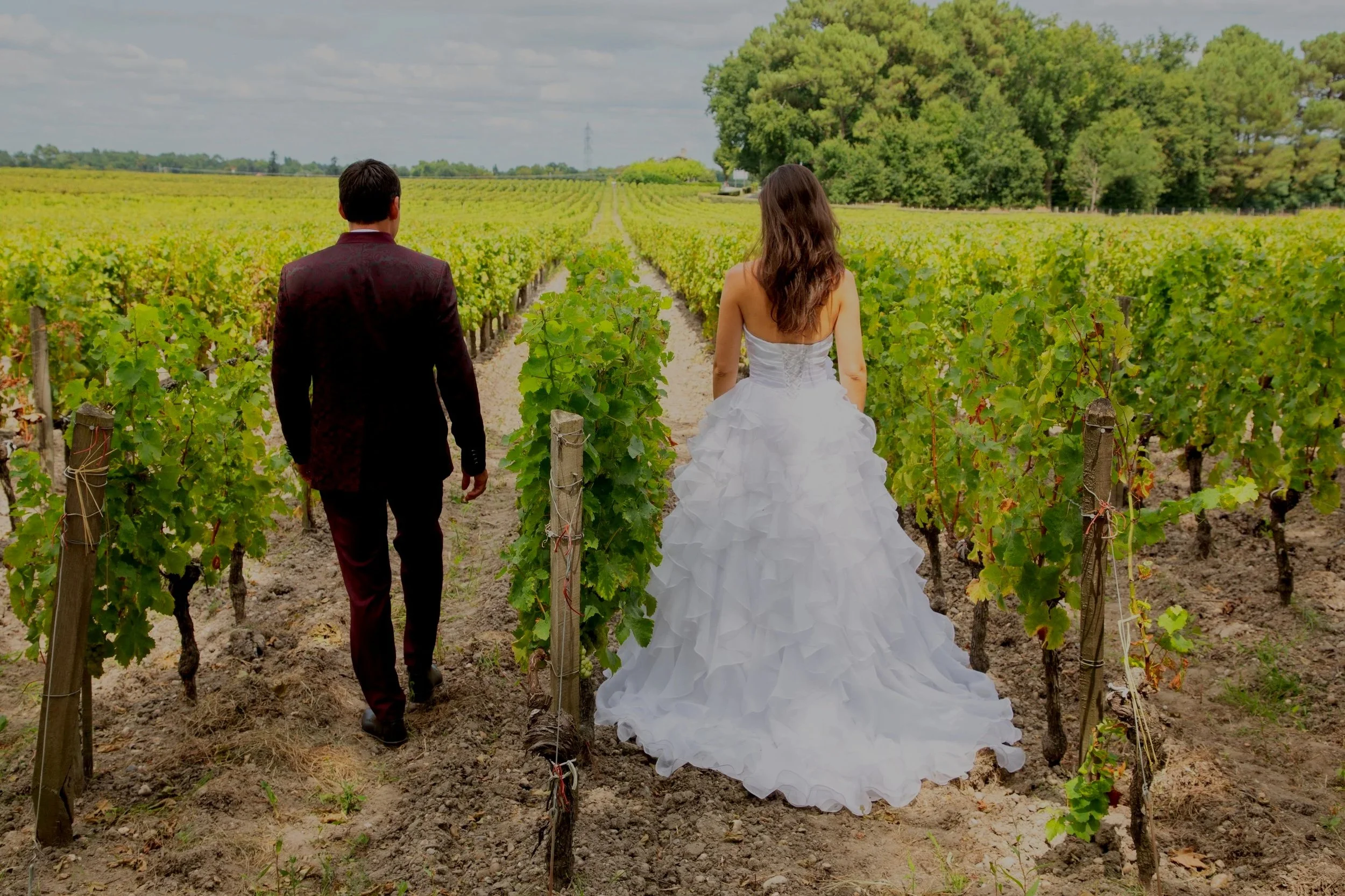 Livermore vineyard wedding ceremony golden hour draped arch string lights