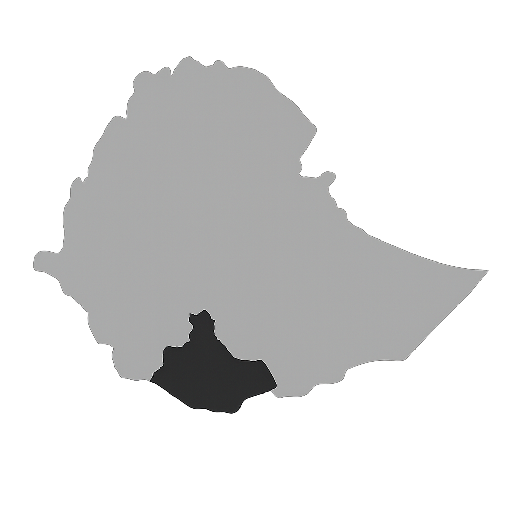 A grayscale map of Saudi Arabia with a region highlighted in black.