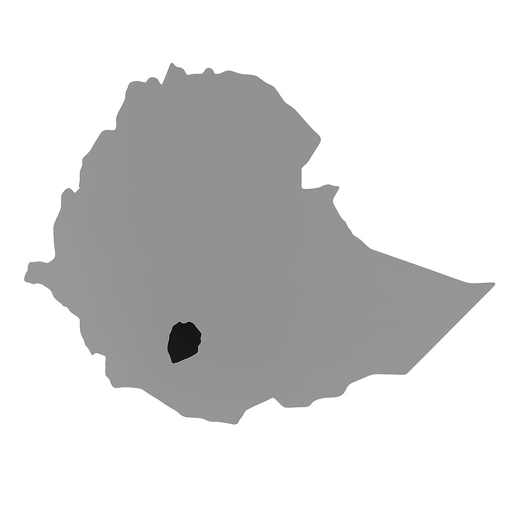 Gray silhouette map of Saudi Arabia on a black background.