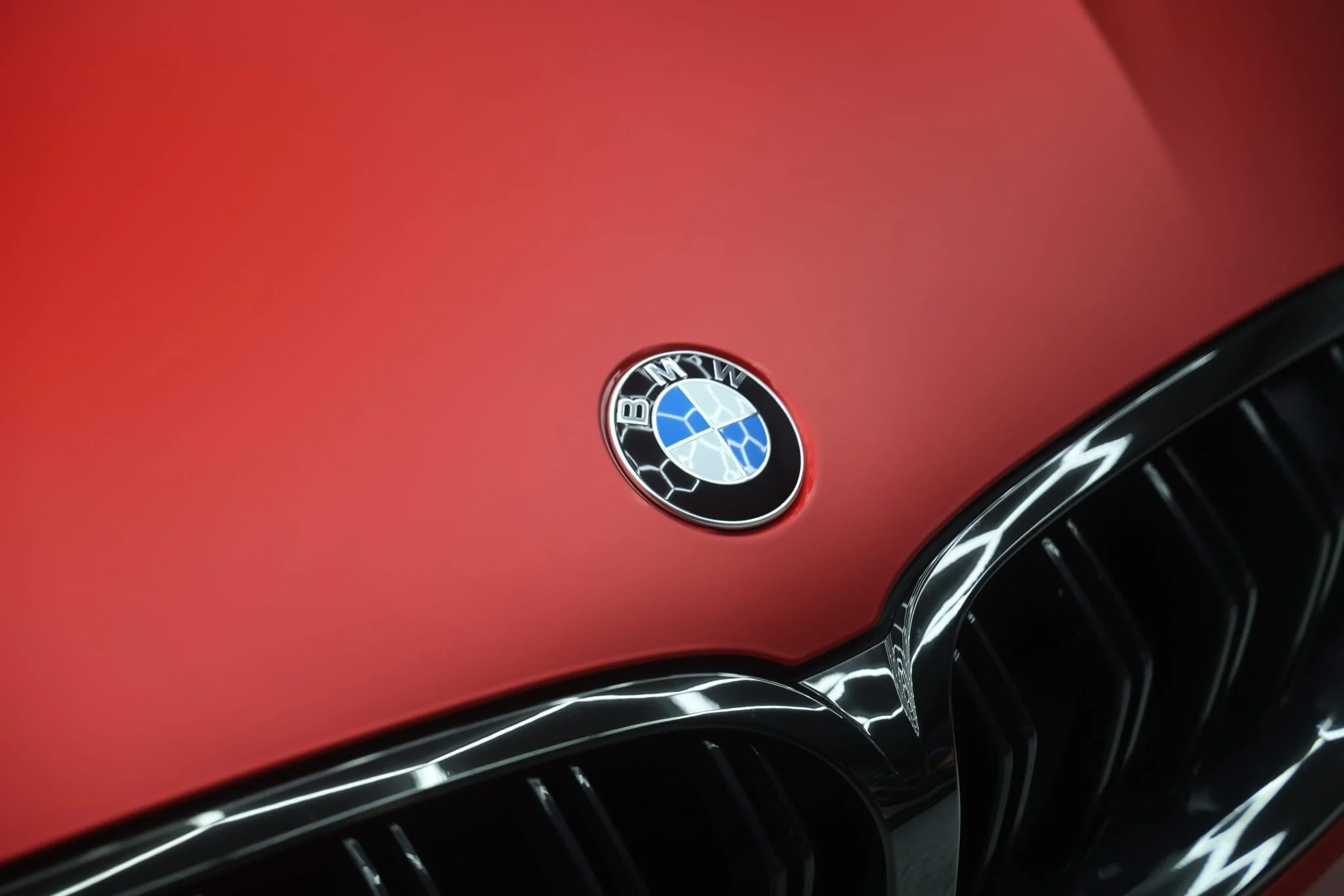 WhatsApp Image 2026-01-20 at 19.51.12.jpeg