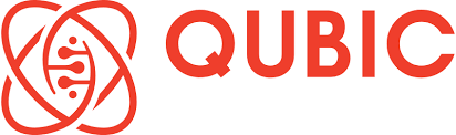 QUBIC Undergraduate Summer Internship Projects 