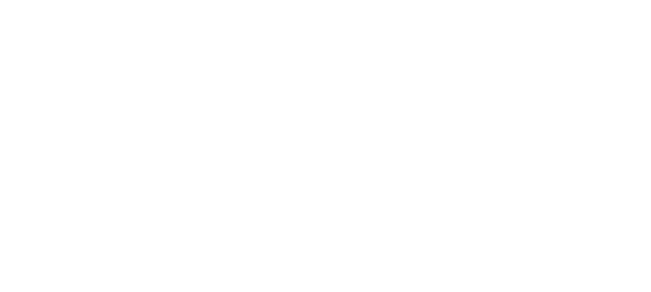 RMIT.png