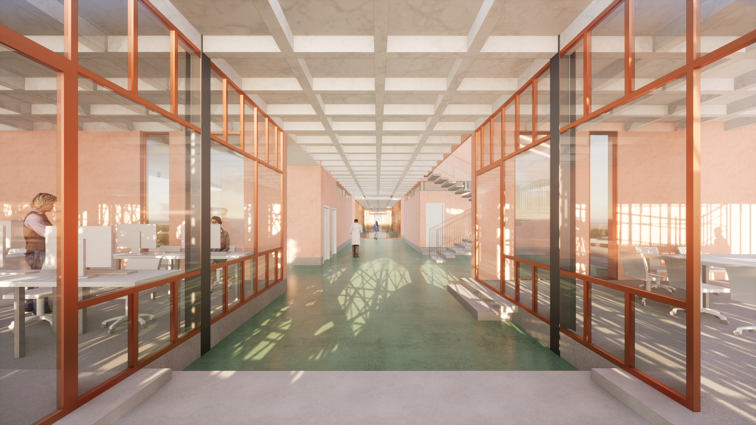 Venetian Seagrass Biological Research Institute - Marine Seed Bank