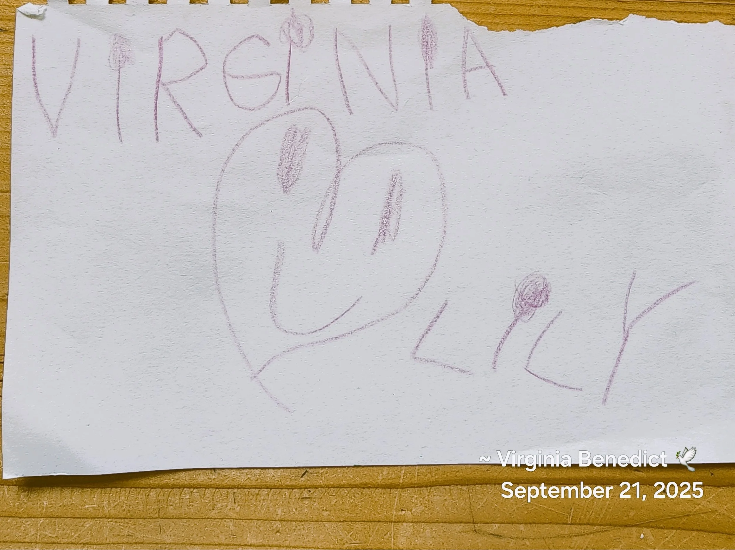 A child's drawing on white paper with the words 'VIRGINIA' at the top and 'LOVE' at the bottom. The word 'LOVE' is inside a large heart with a smiley face. The drawing is done in purple crayon.