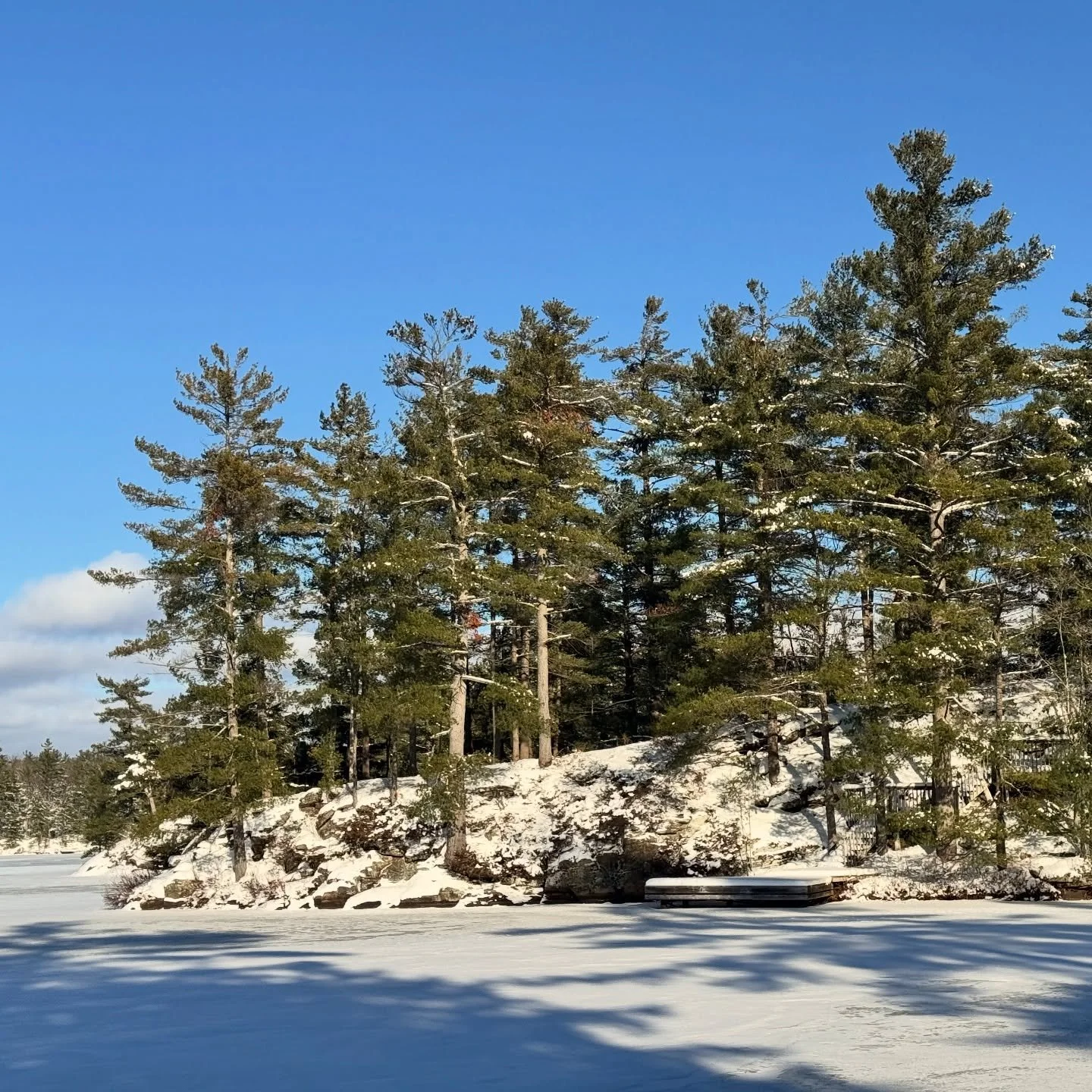 Ice on the lake has come along in the last couple weeks!