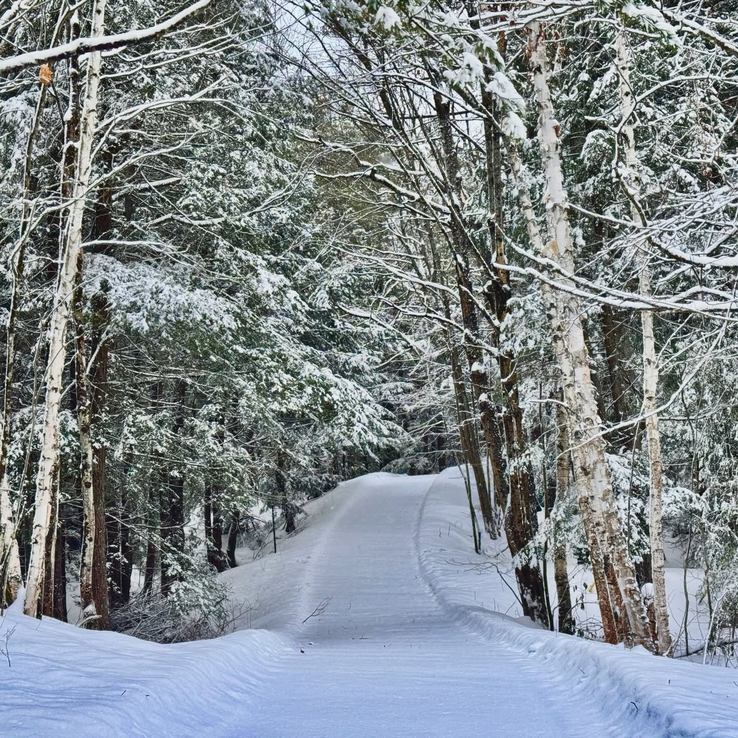 The road to Hemlock. #hemlocklakehouse #muldrewlake