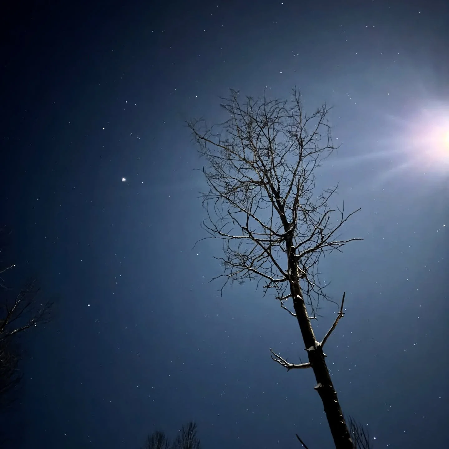 It may have been a cold one, but New Year&rsquo;s Day delivered a bright, start-filled midnight! #hemlocklakehouse