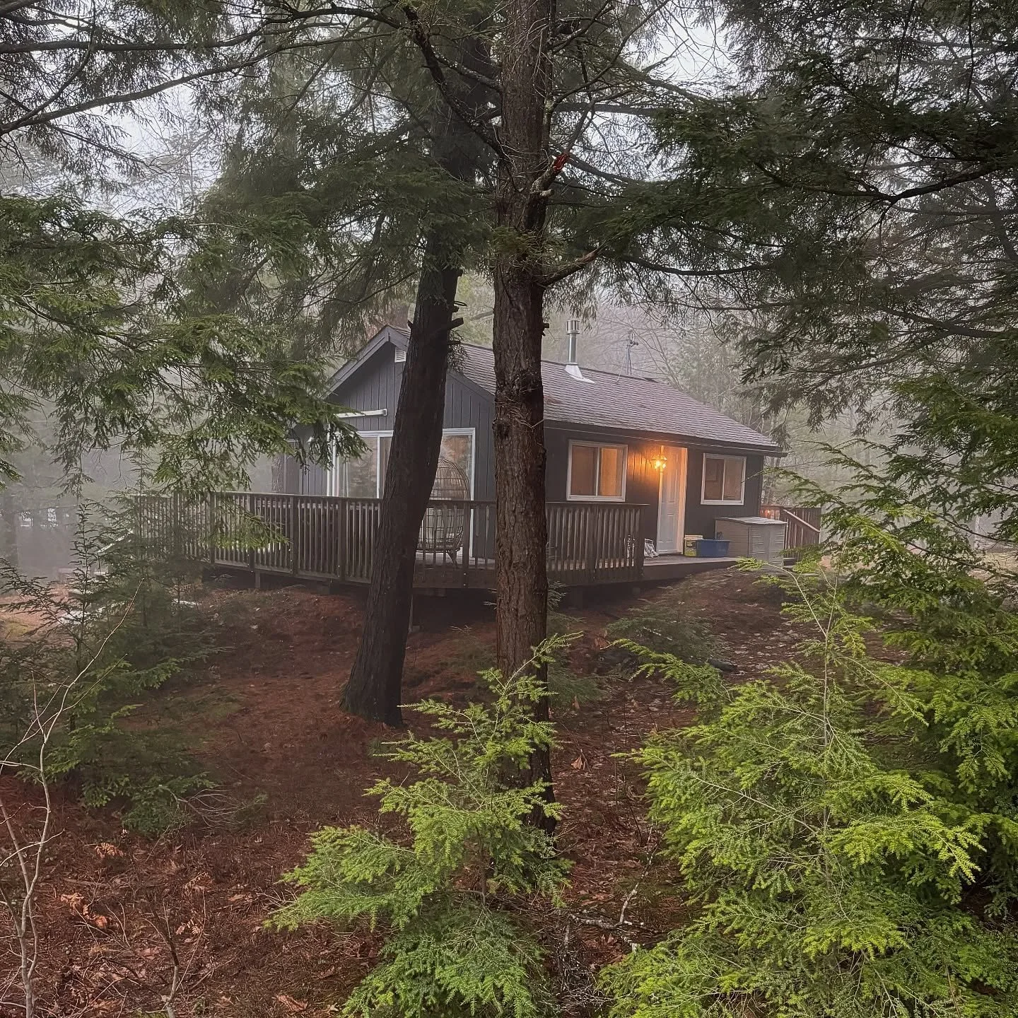 There is something truly magical about the spring thaw. Everything slowly reveals itself again and the woods start to wake up with rustles and songs. We often cannot wait for summer, but in a few short weeks trilliums, wildflowers, hummingbirds and t