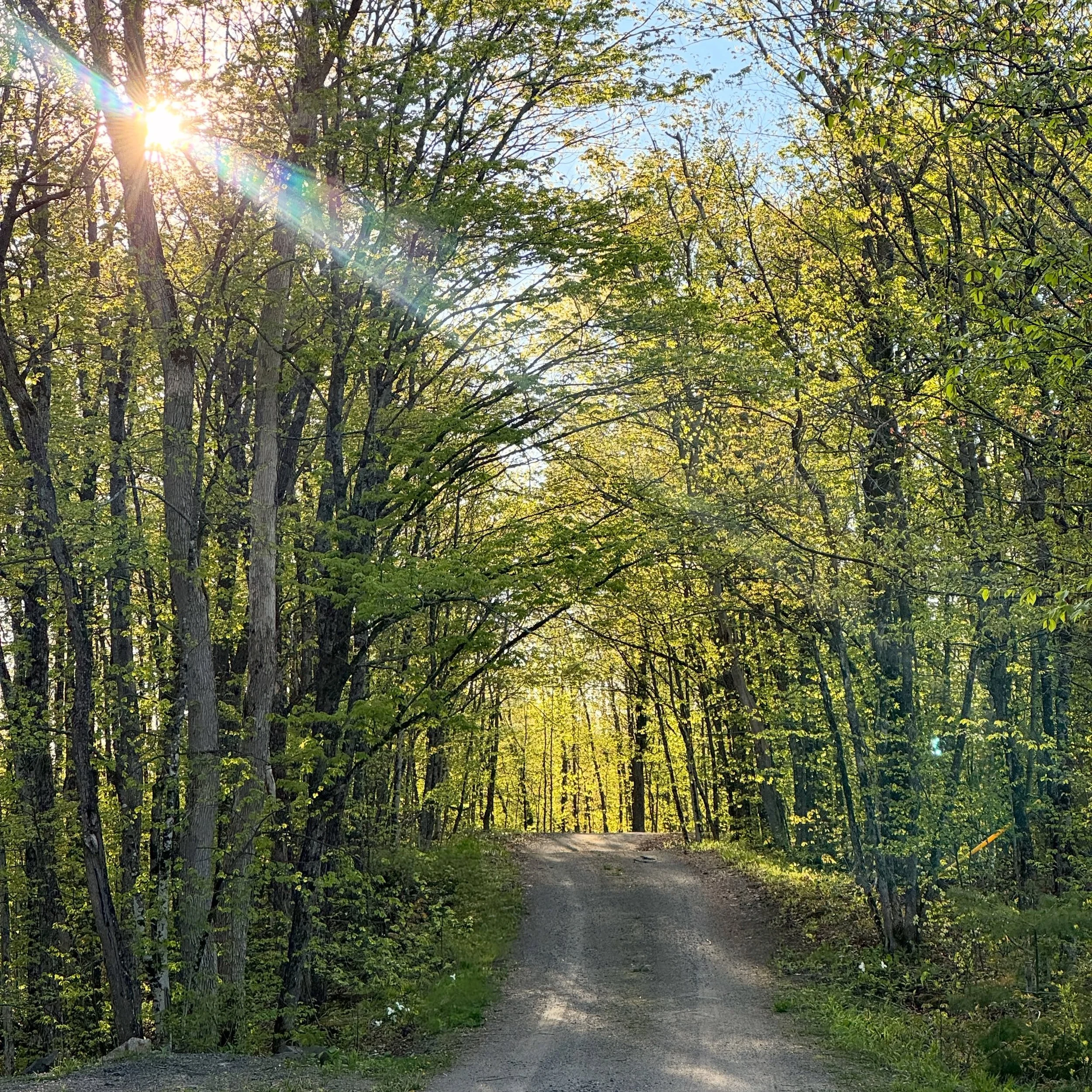 The cottage road can be pure magic!