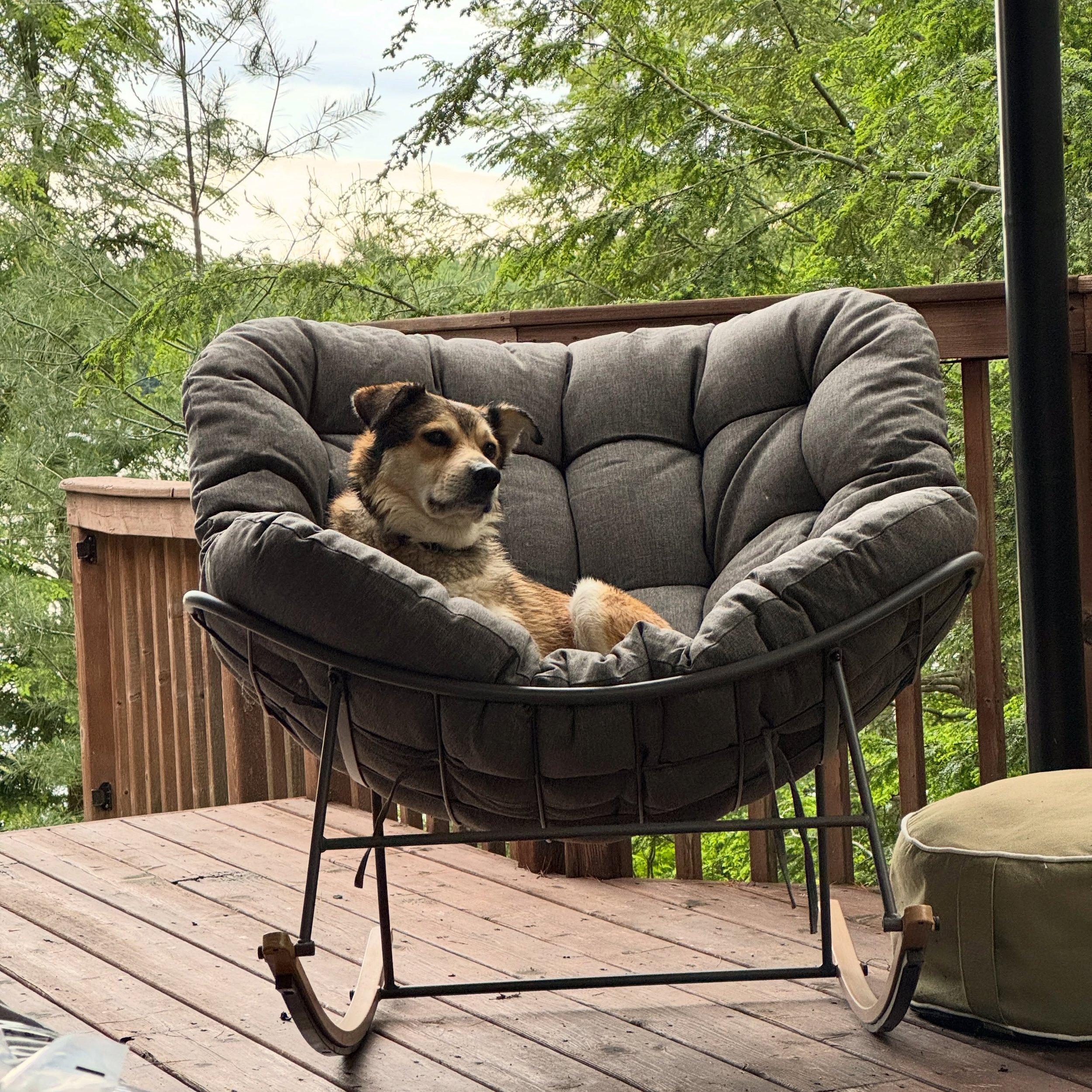 When you wake up from a cottage nap and wonder what day is it only to realize it doesn&rsquo;t really matter anyway.