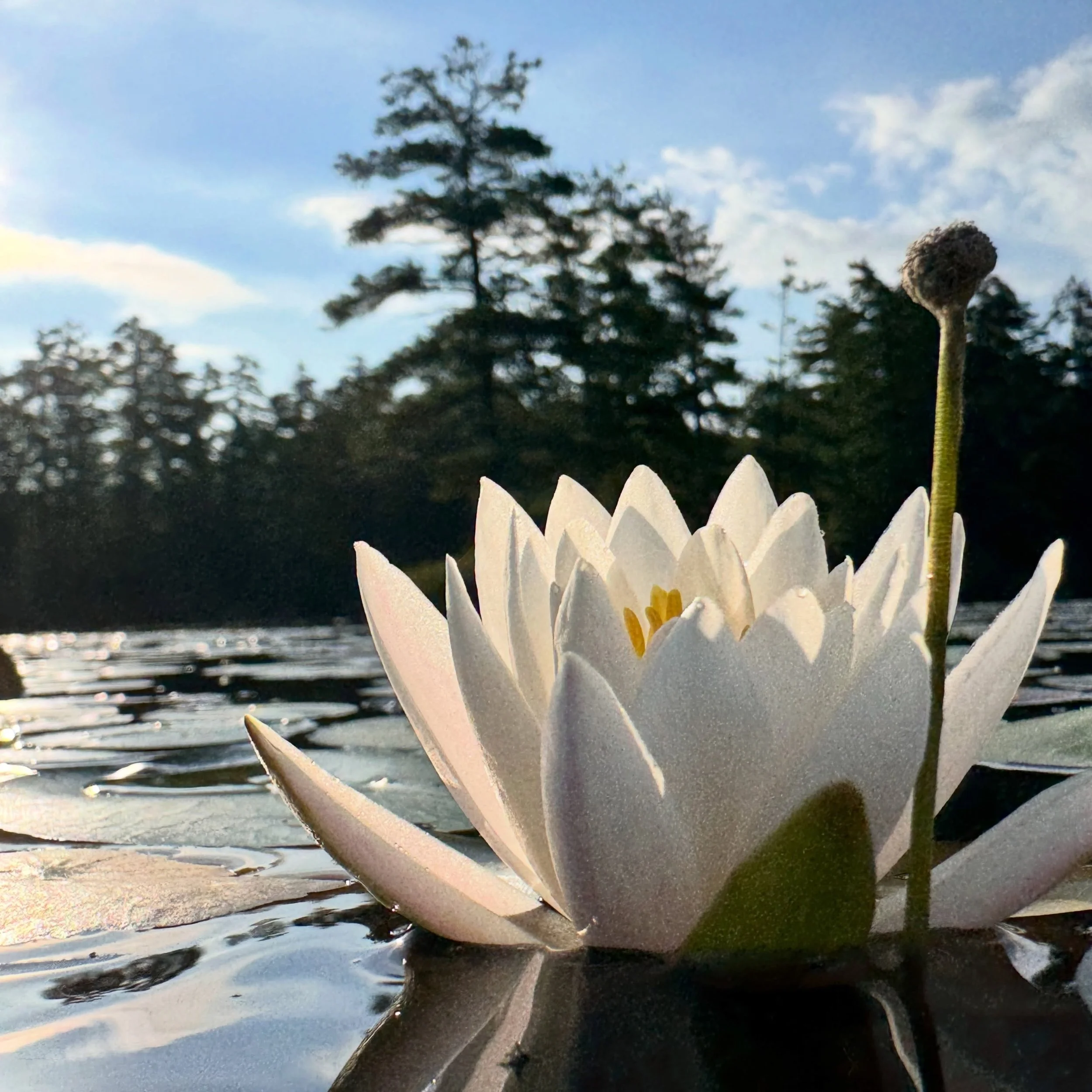 The beauty of a late summer morning.