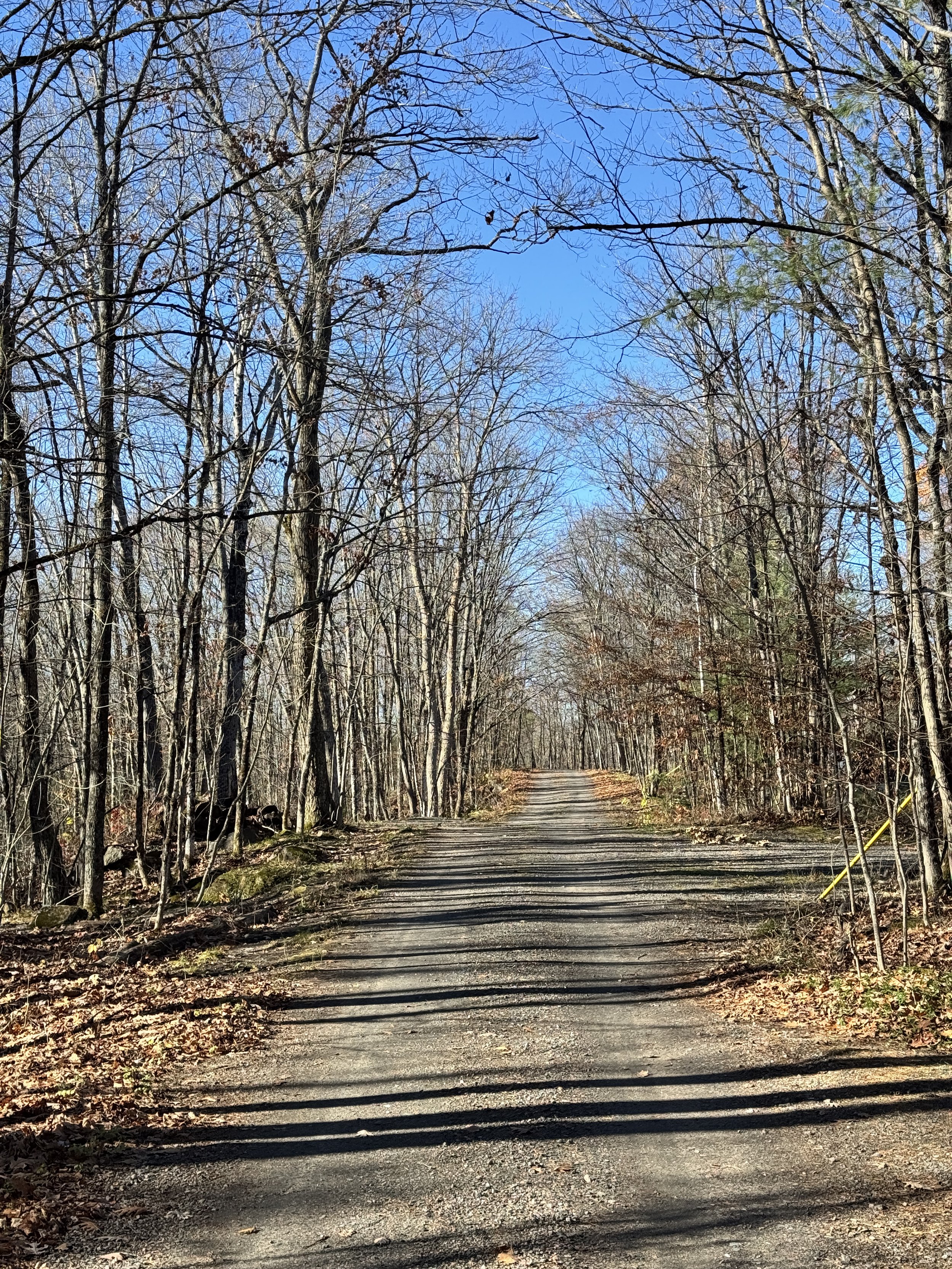The Road to the Cottage