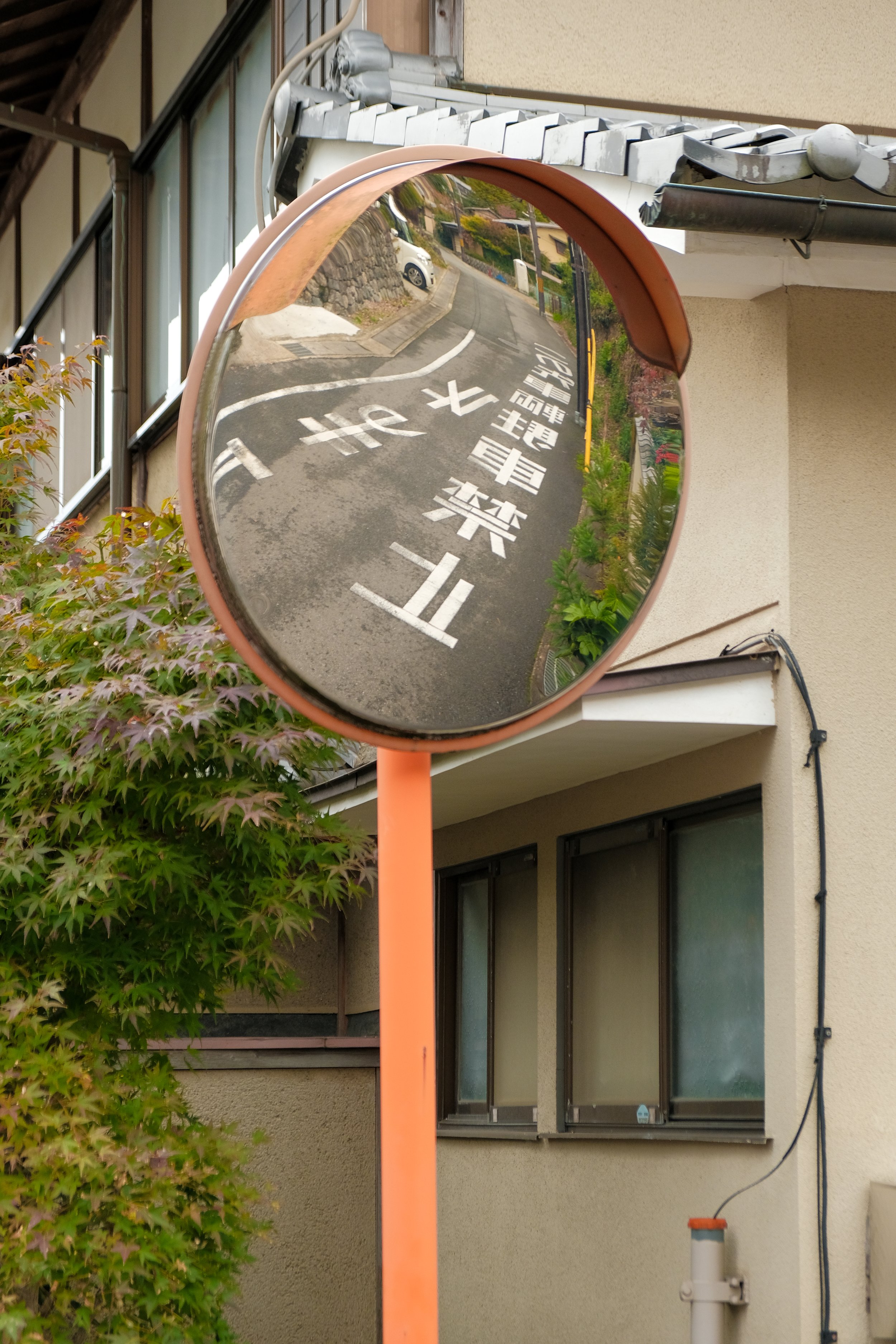 DSCF4045.jpg