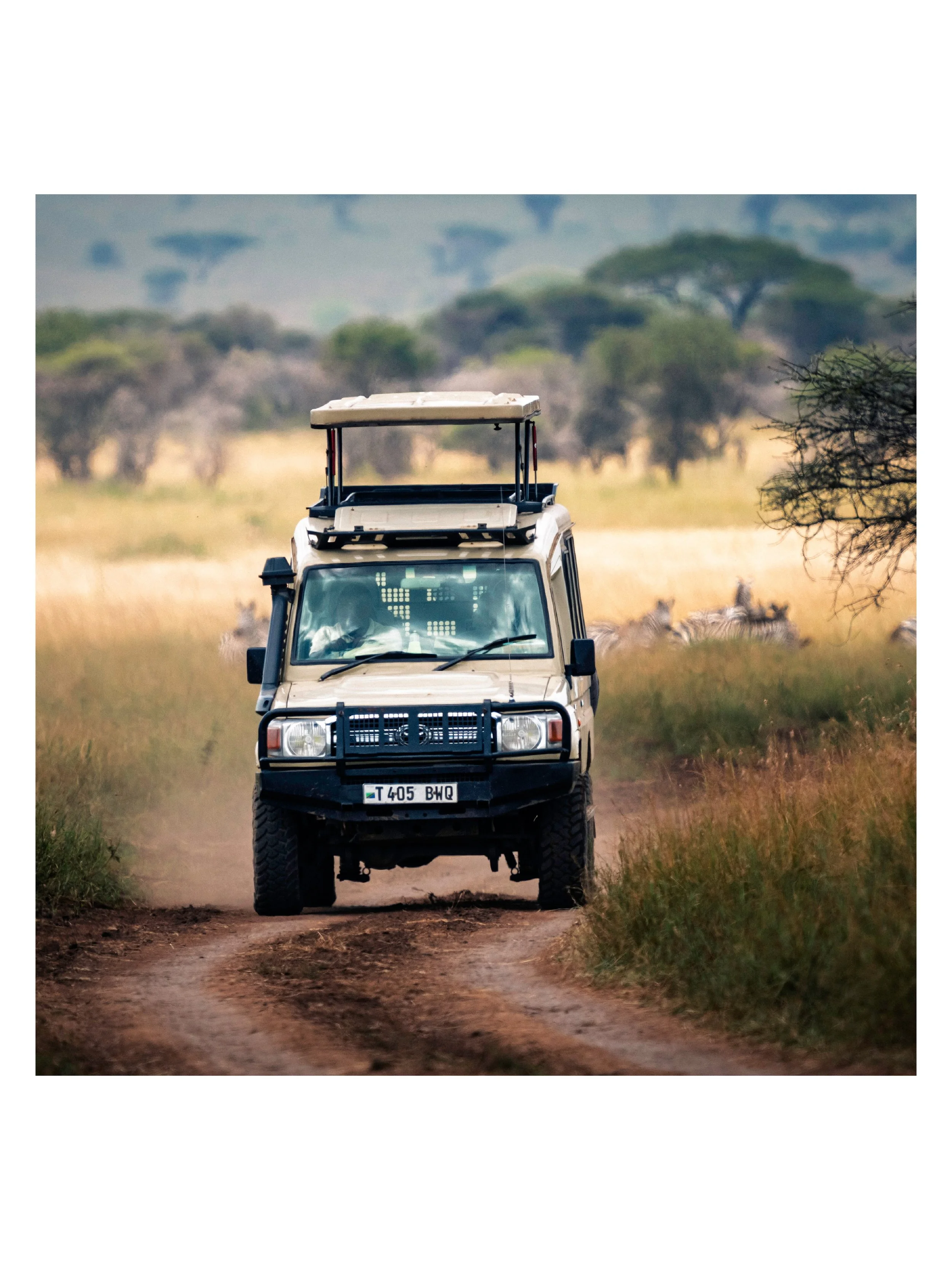 After our long bush walk with the Serengeti park ranger, we were very happy to see Elly heading to our rendezvous point to pick us up. We spent many hours in his trusty Toyota Landcruiser.