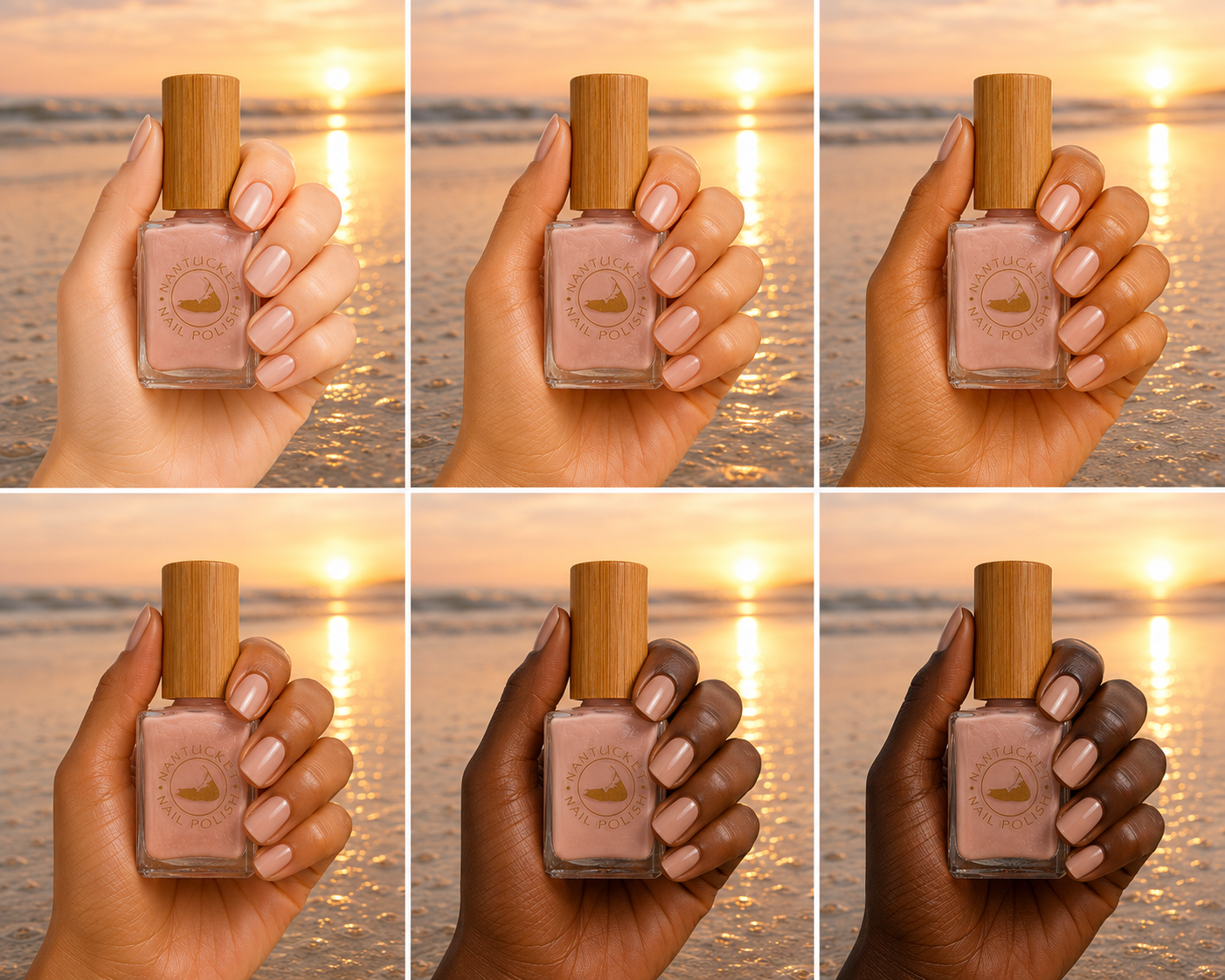Sand Dollar Skin.png