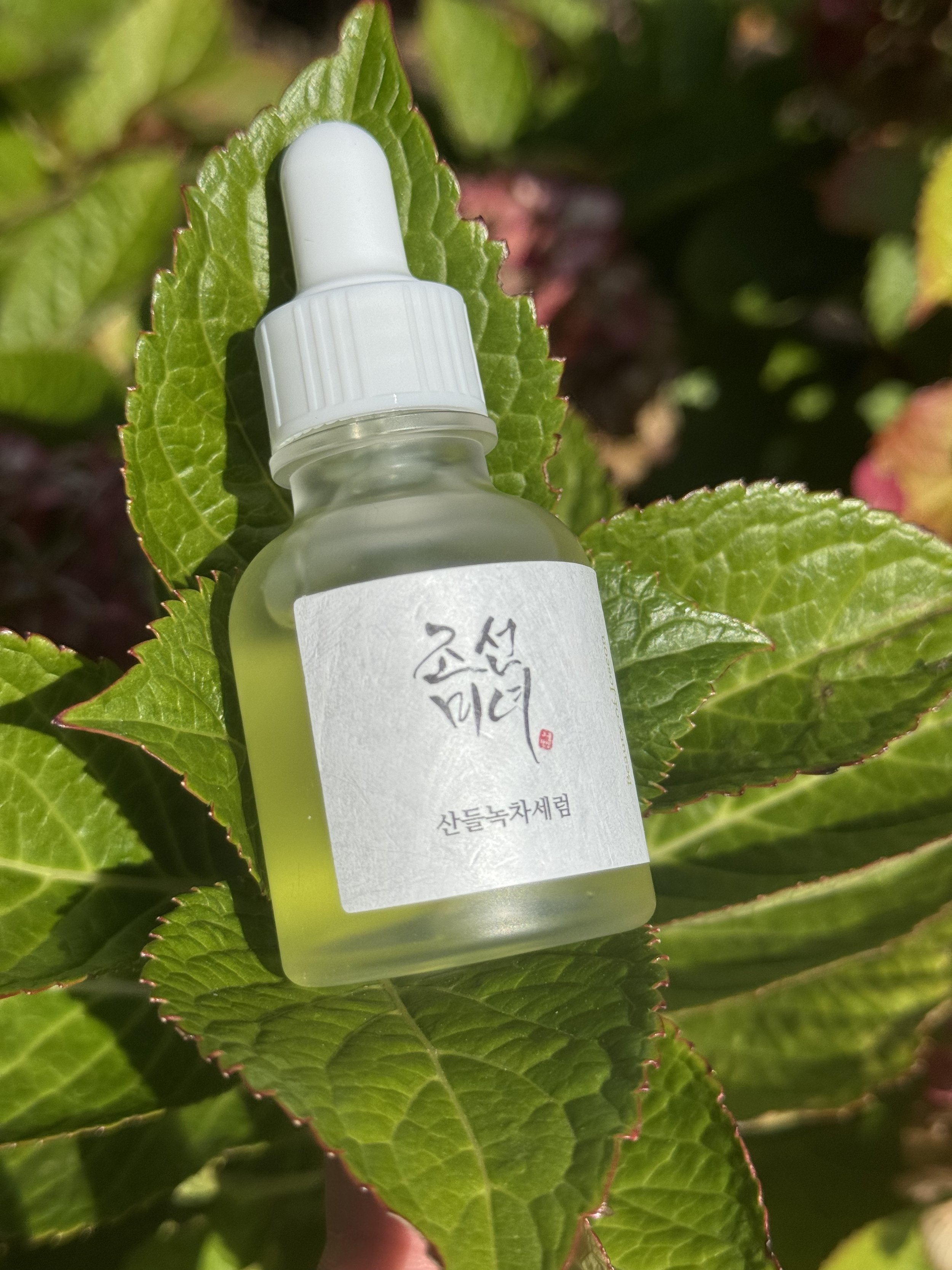 Beauty of Joseon Calming Serum
