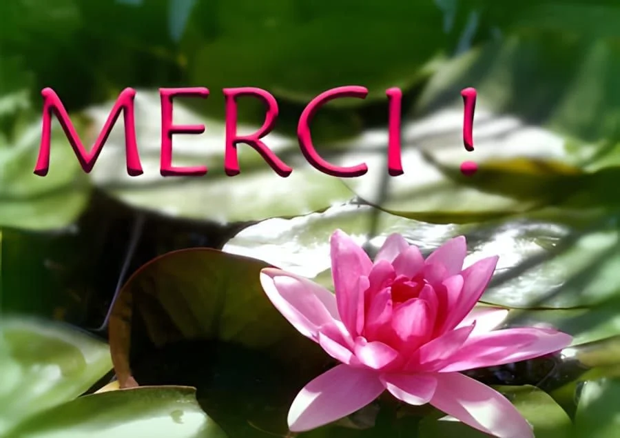 La gratitude, un superpouvoir validé par les neurosciences… et la sophrologie !